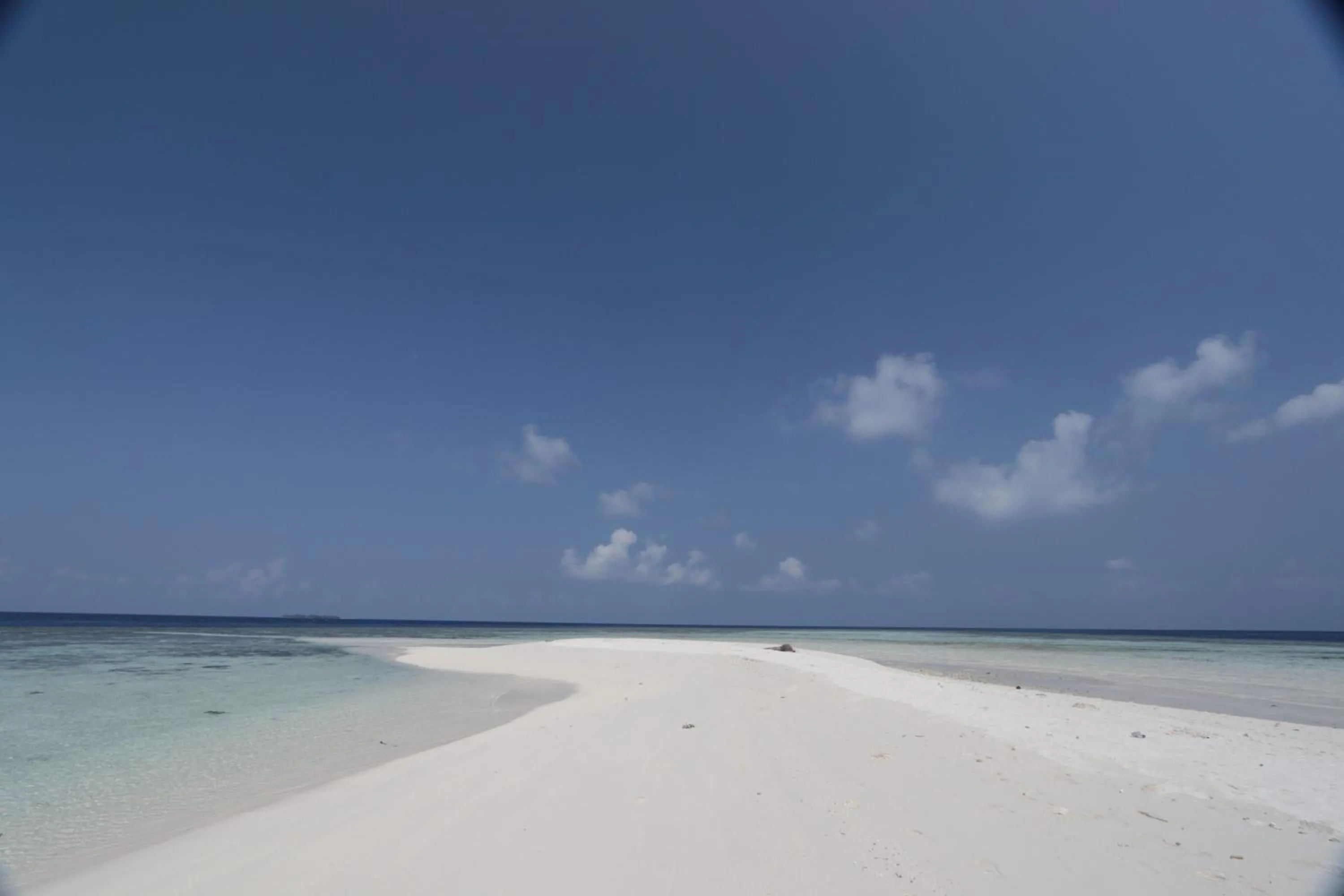 Beach in Scuba Inn