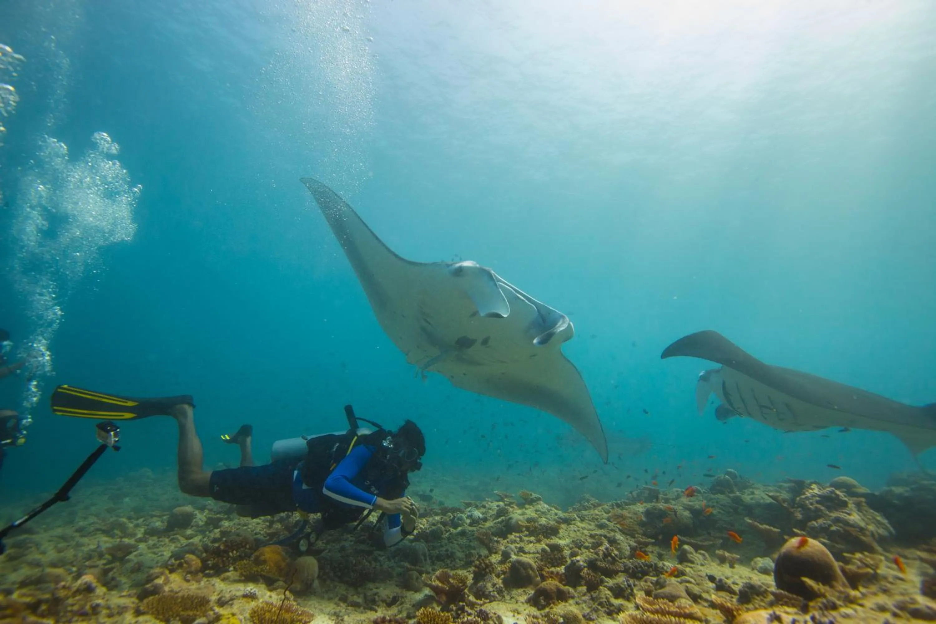 Scuba Inn