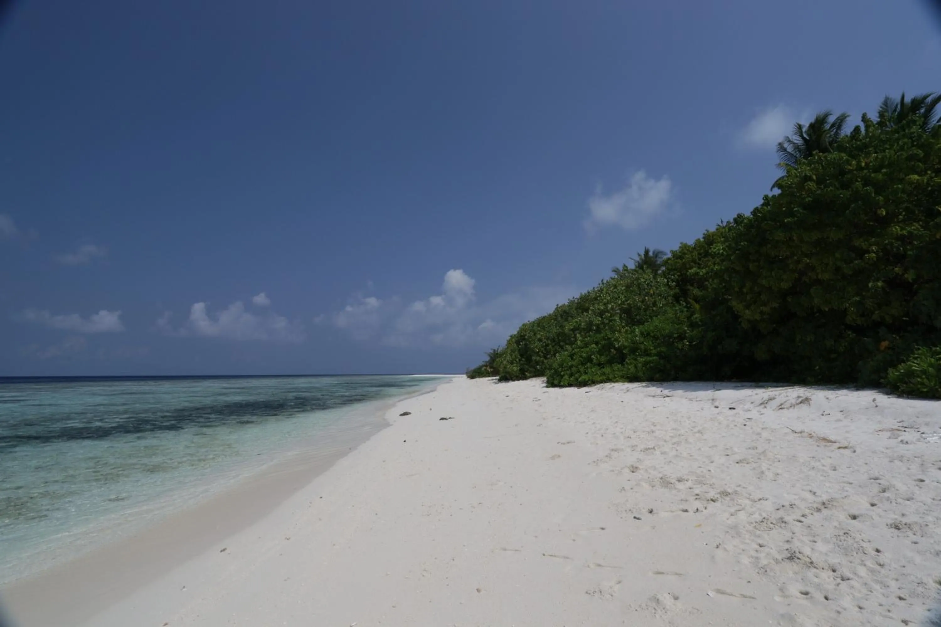Beach in Scuba Inn