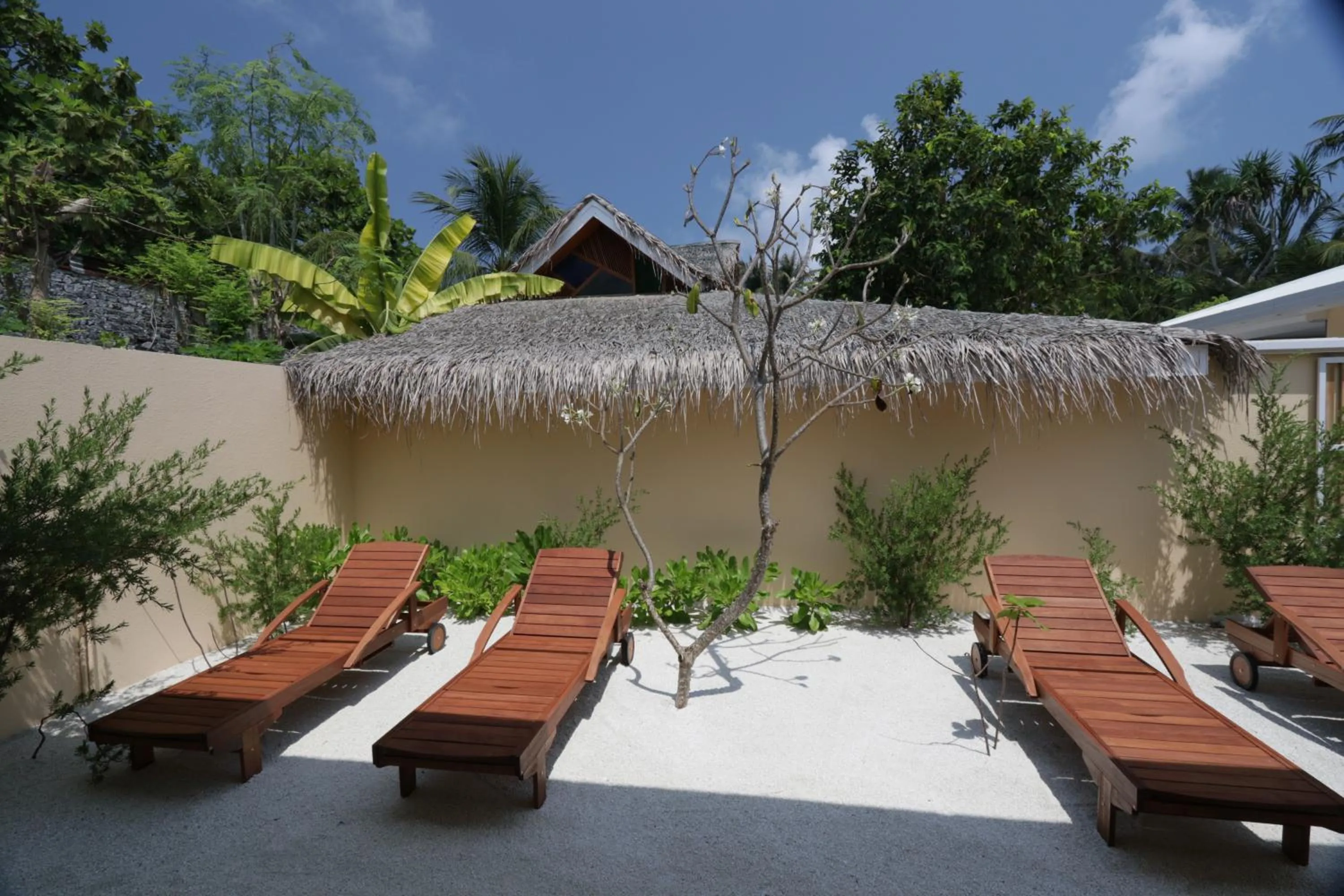 Garden in Scuba Inn