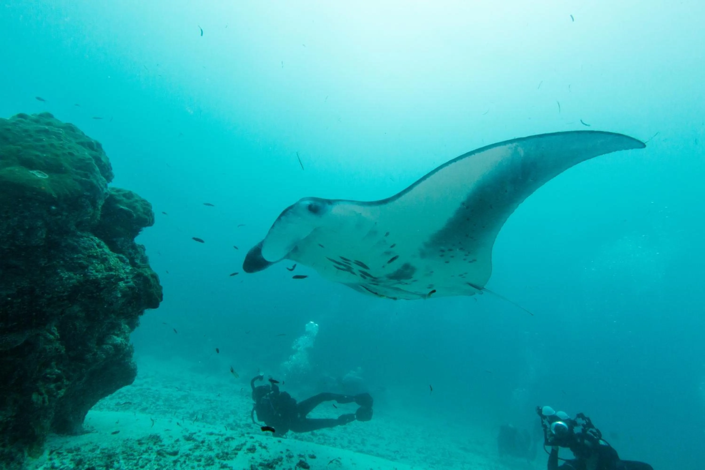 Scuba Inn