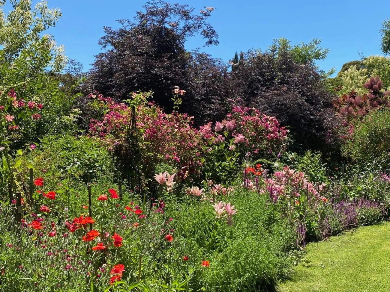 Garden in Planetrees Estate