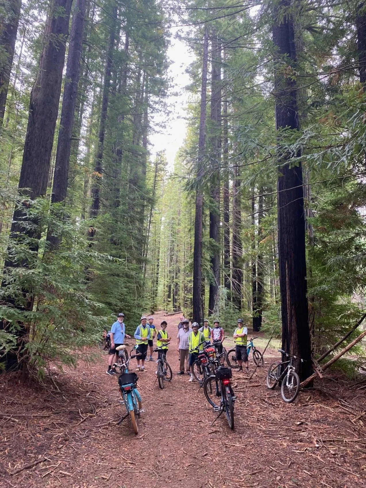 Cycling in Planetrees Estate