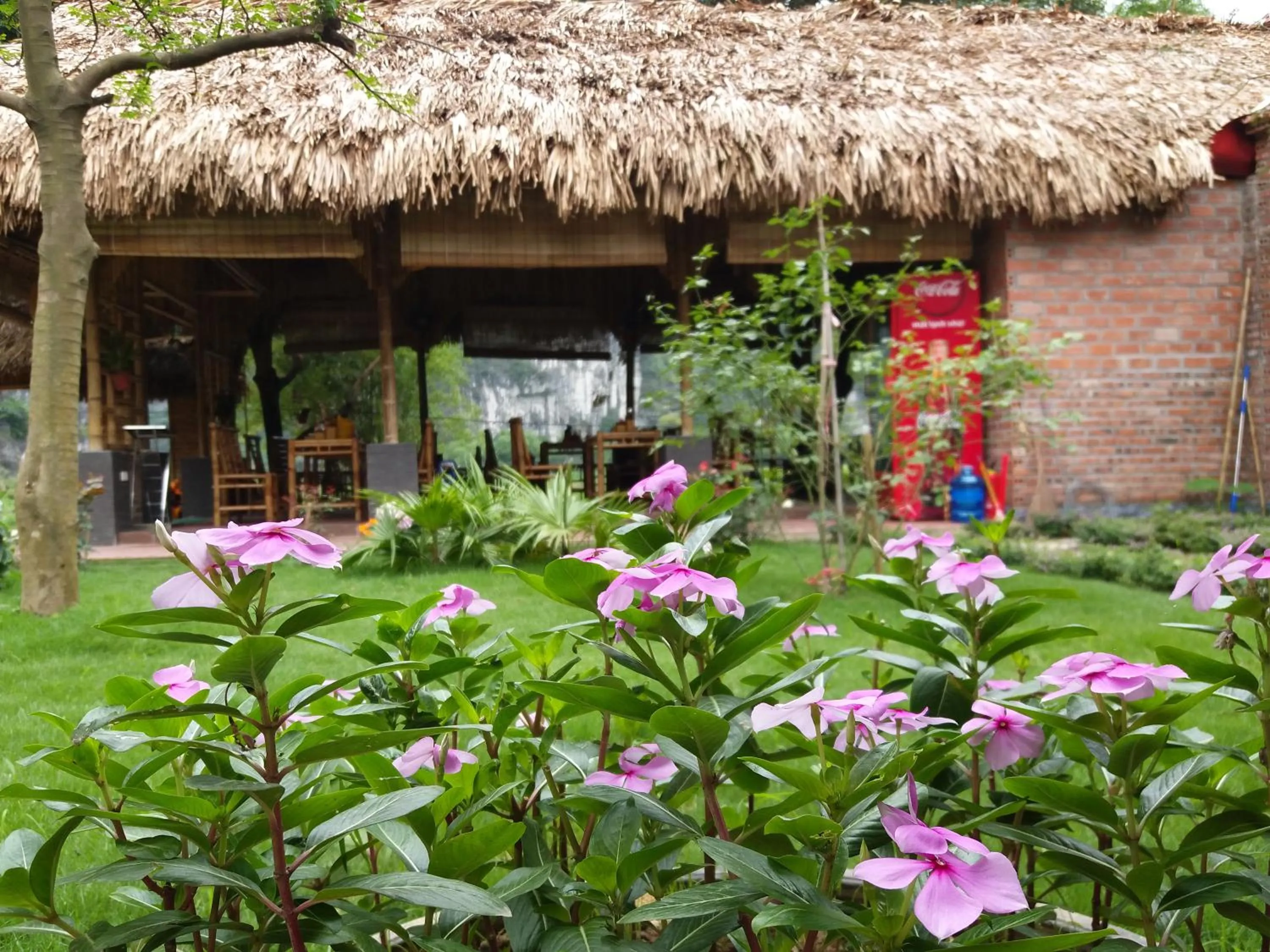 Garden in Quoc Khanh Bamboo Homestay