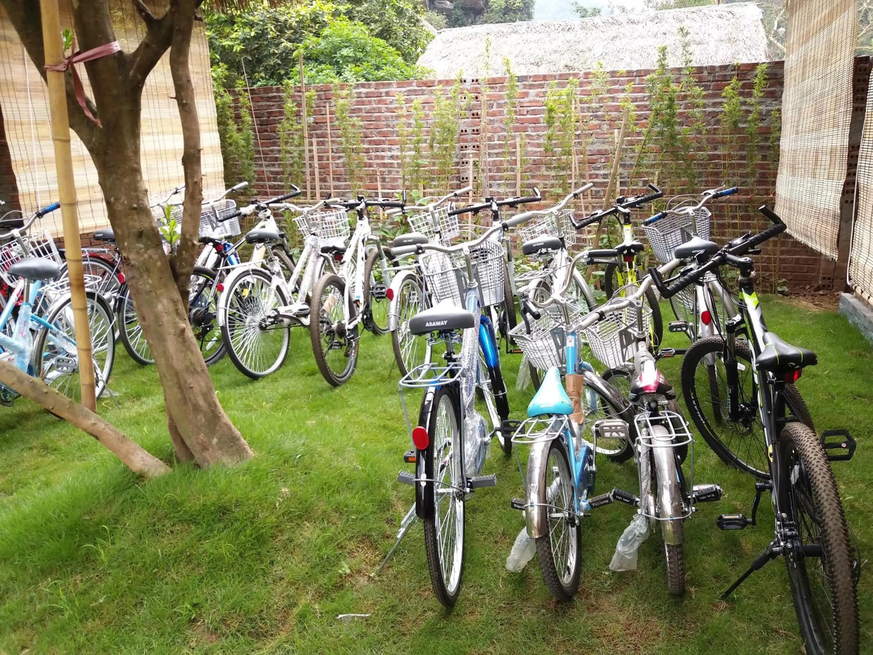 Day in Quoc Khanh Bamboo Homestay