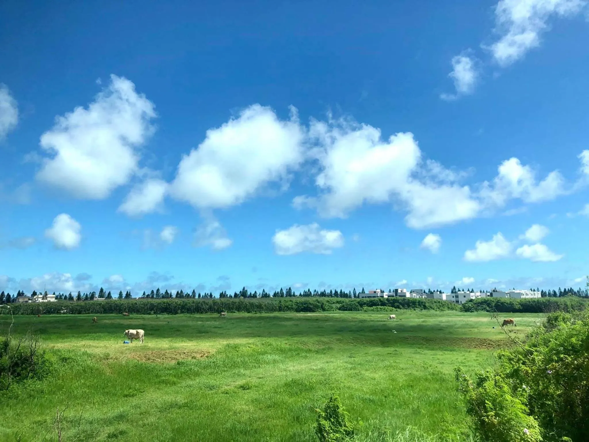 Property building in Le Wu Casa