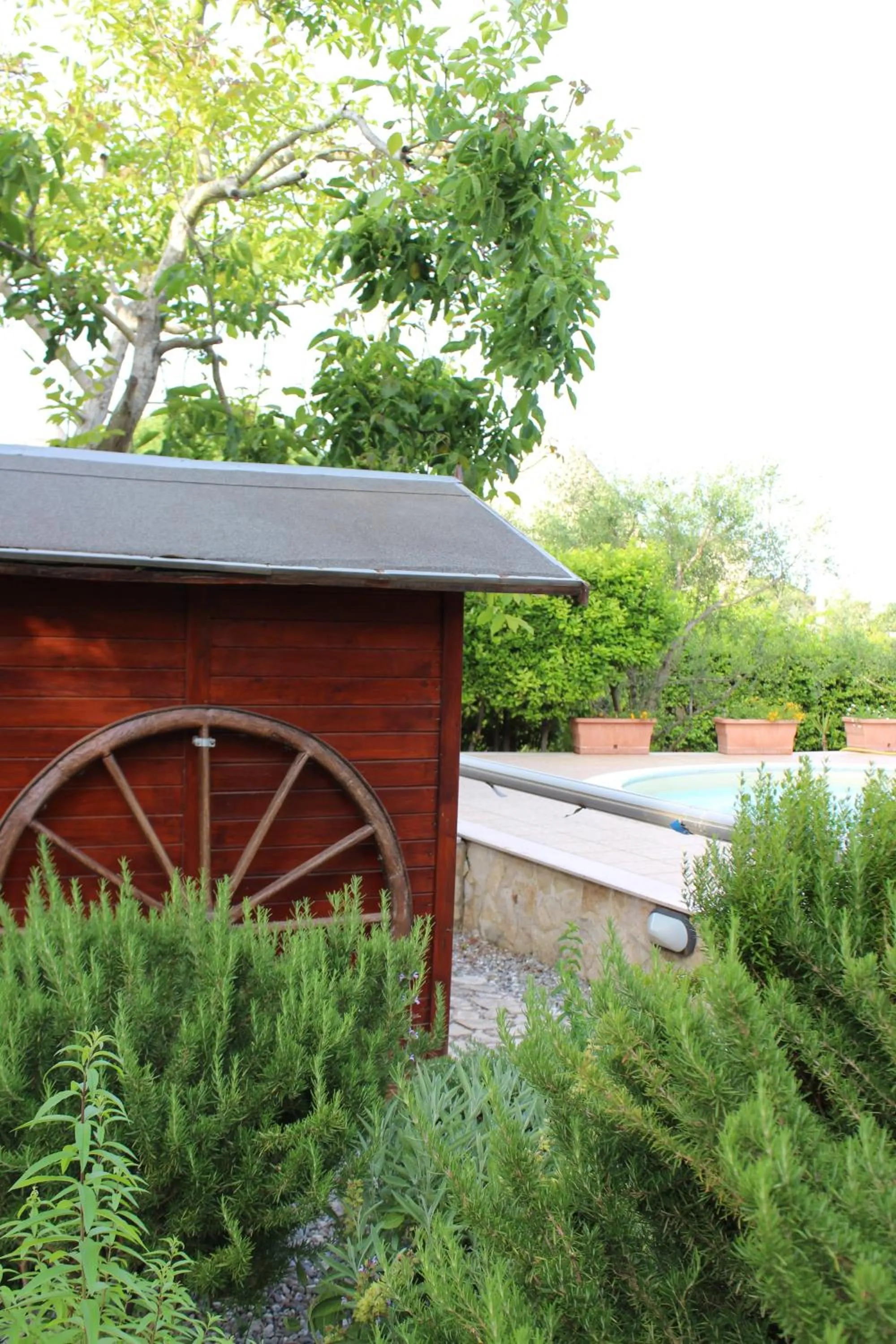 Garden in Domus Relax