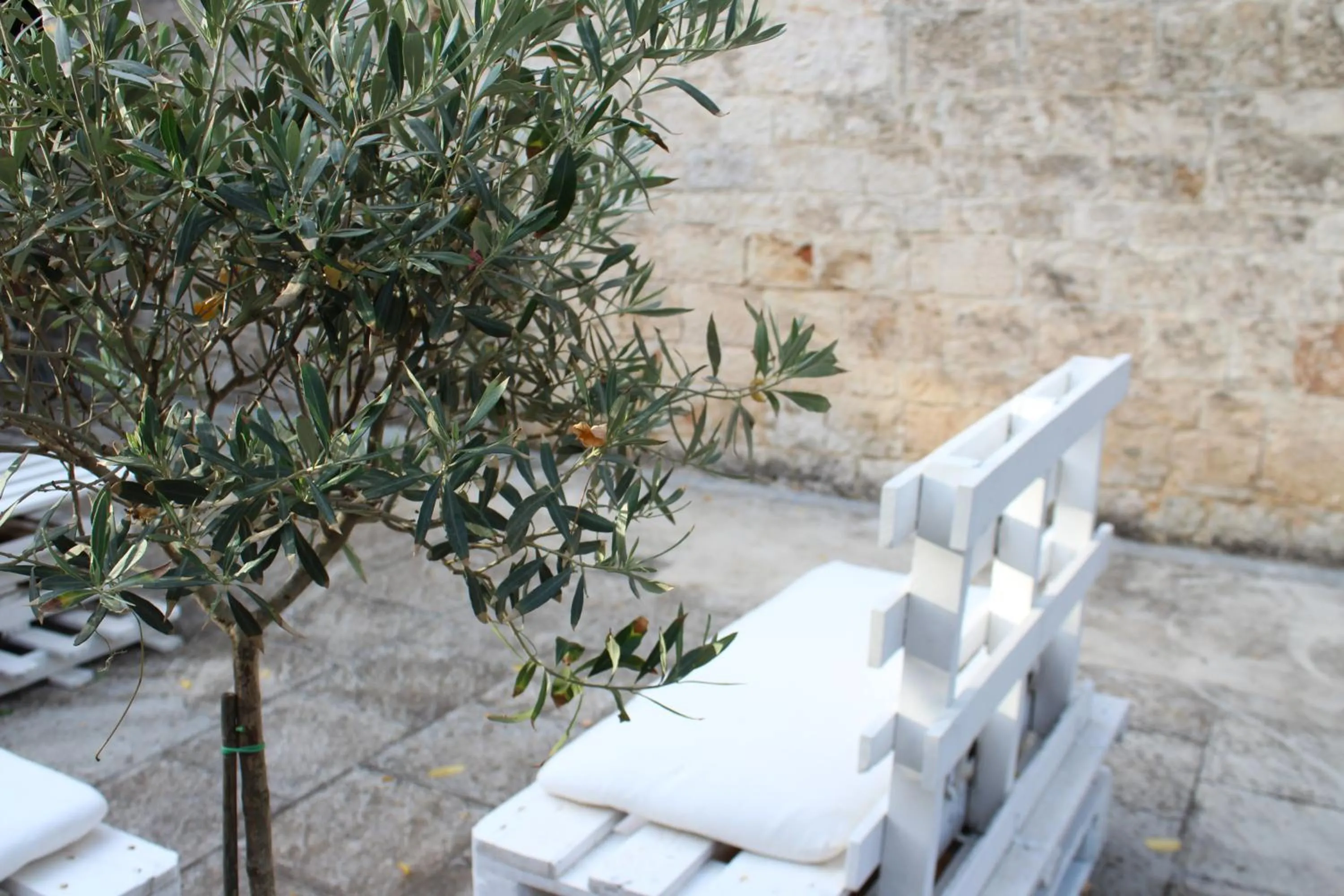 Other in Domus Relax