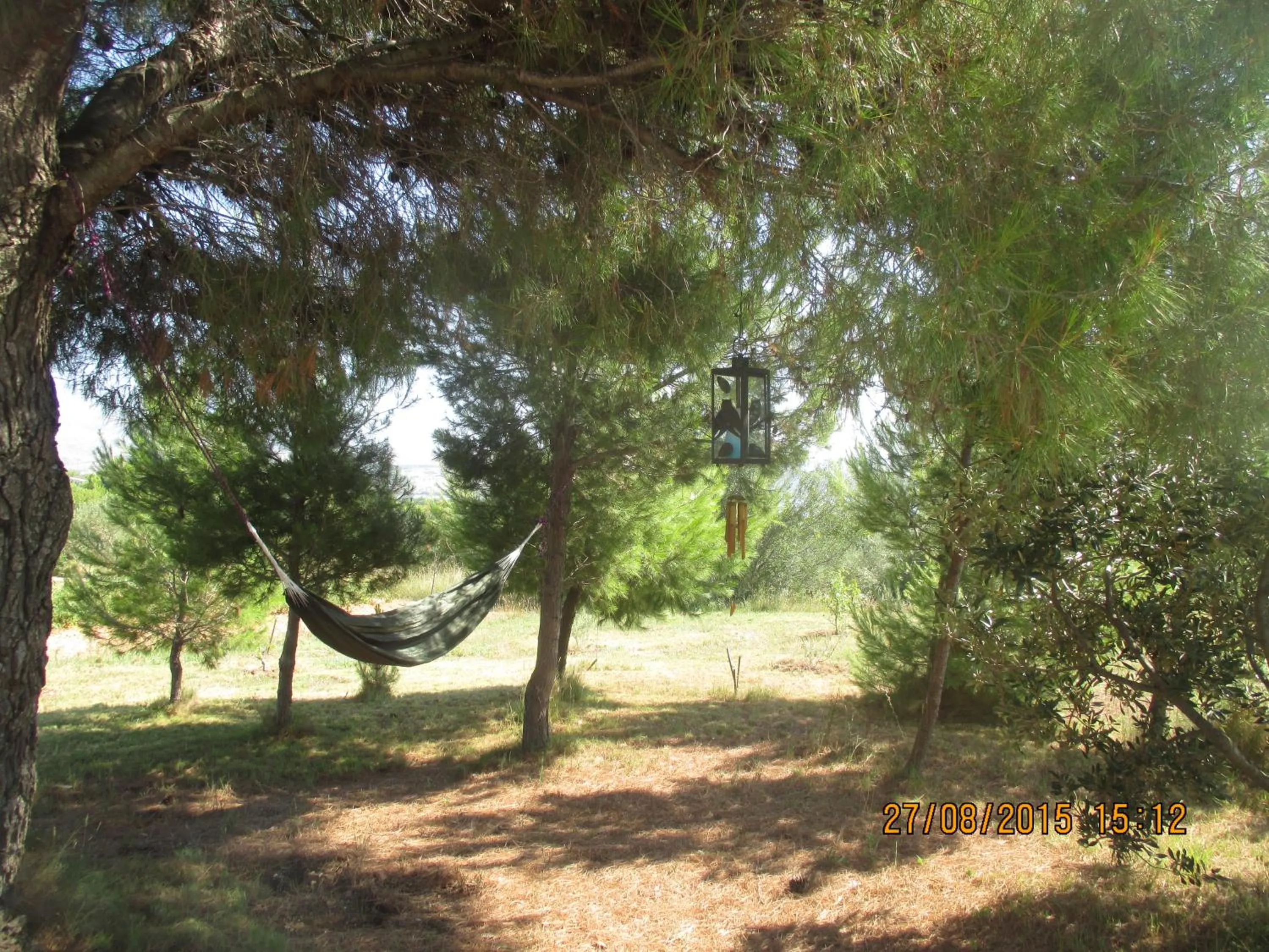 Garden in B&B Curica Doma