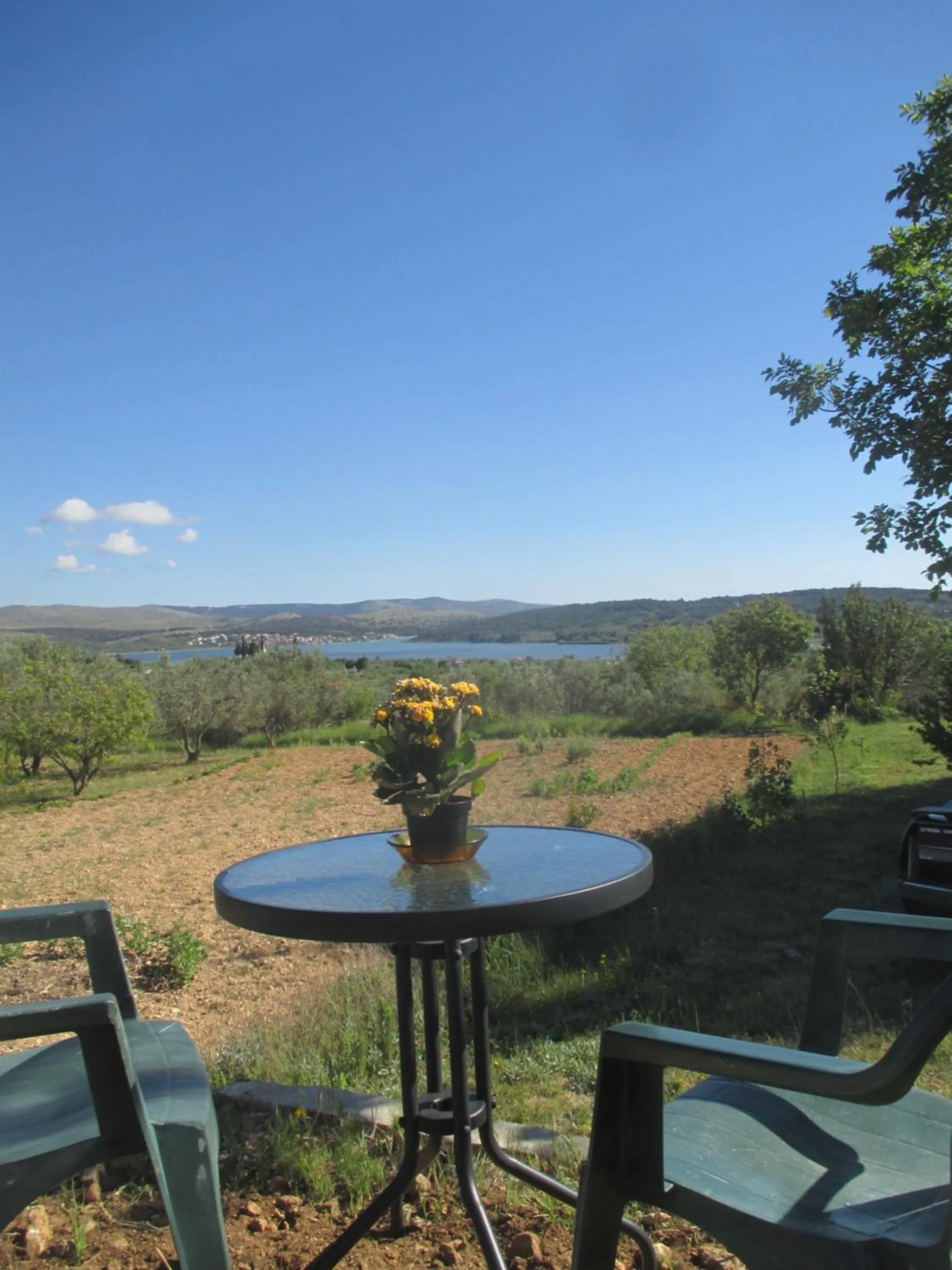 Garden view in B&B Curica Doma
