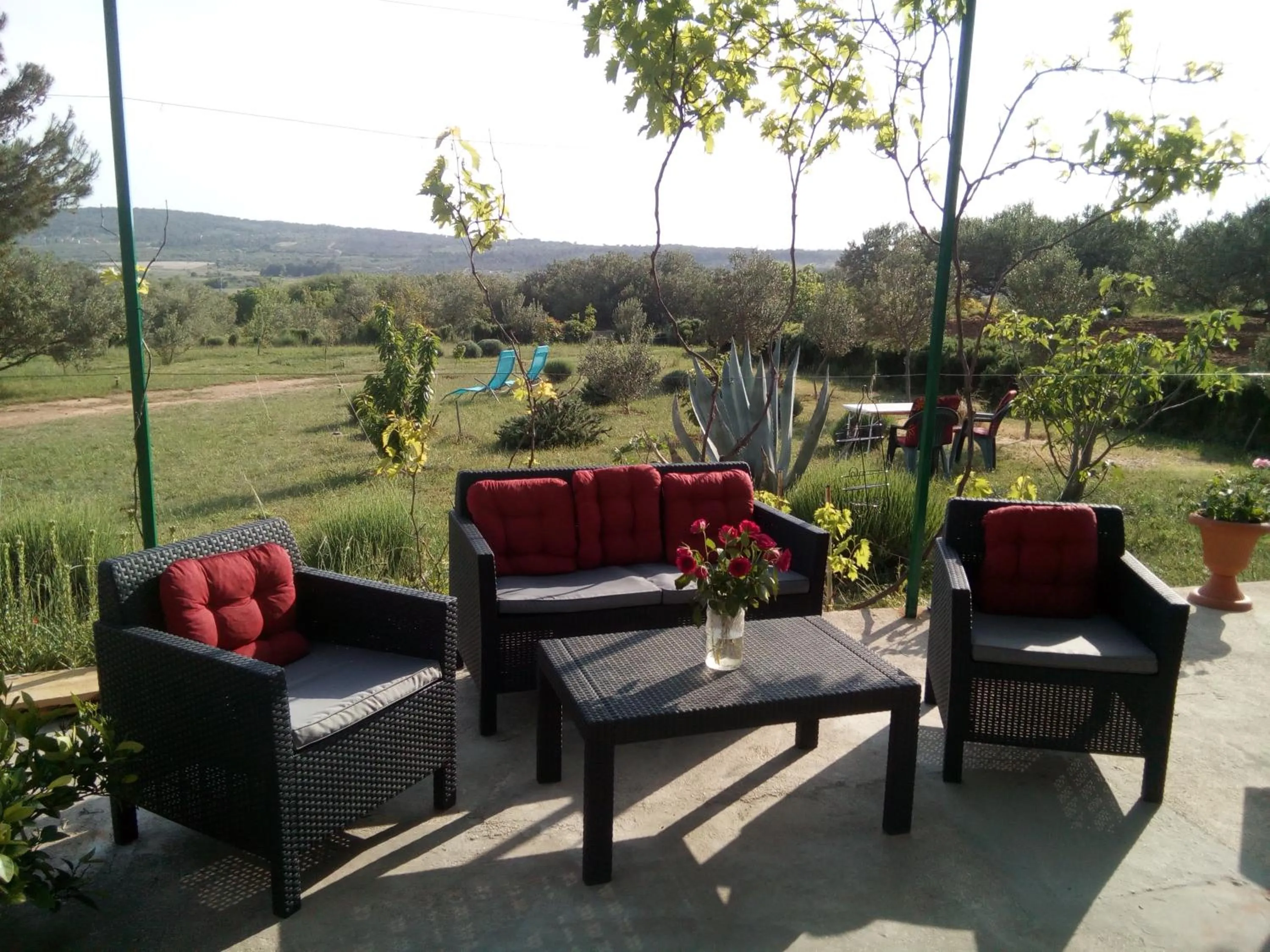 Patio in B&B Curica Doma
