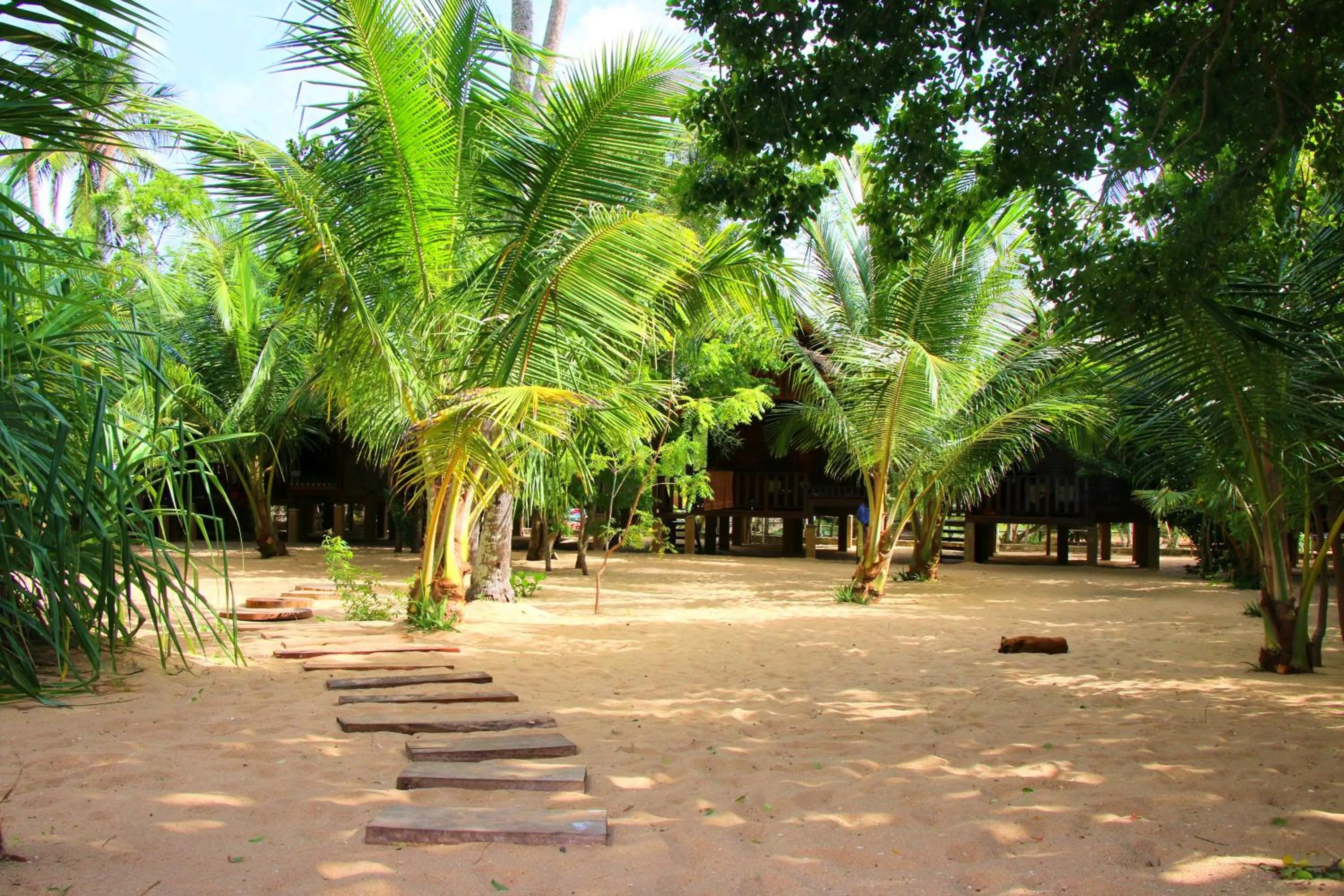 Garden in Shiva's Beach Cabanas