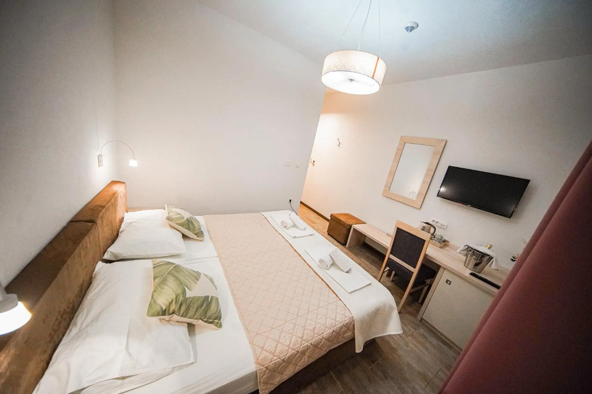 Single Room - single occupancy in Hotel Olivia