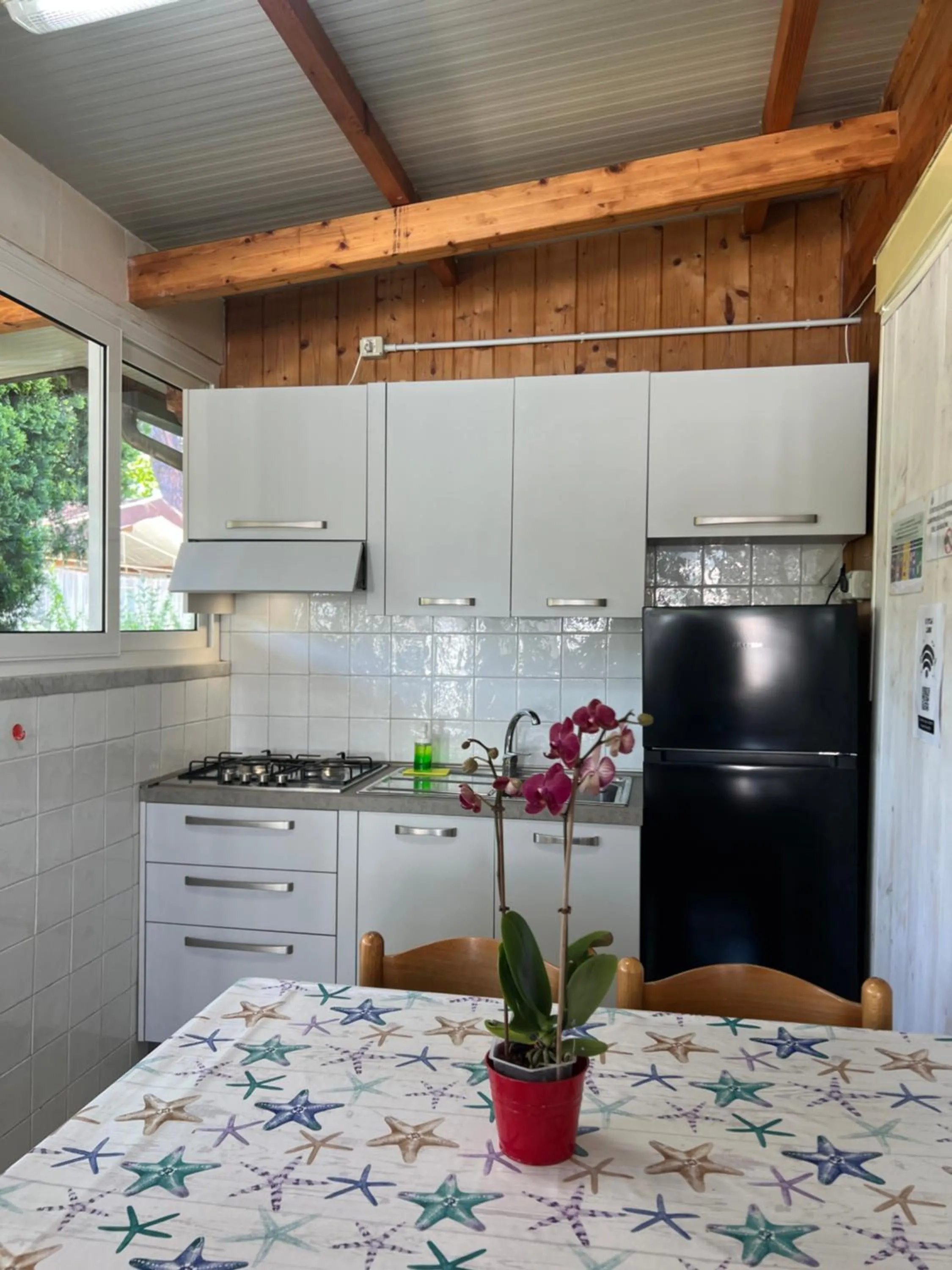 Kitchen or kitchenette in Camping Linus
