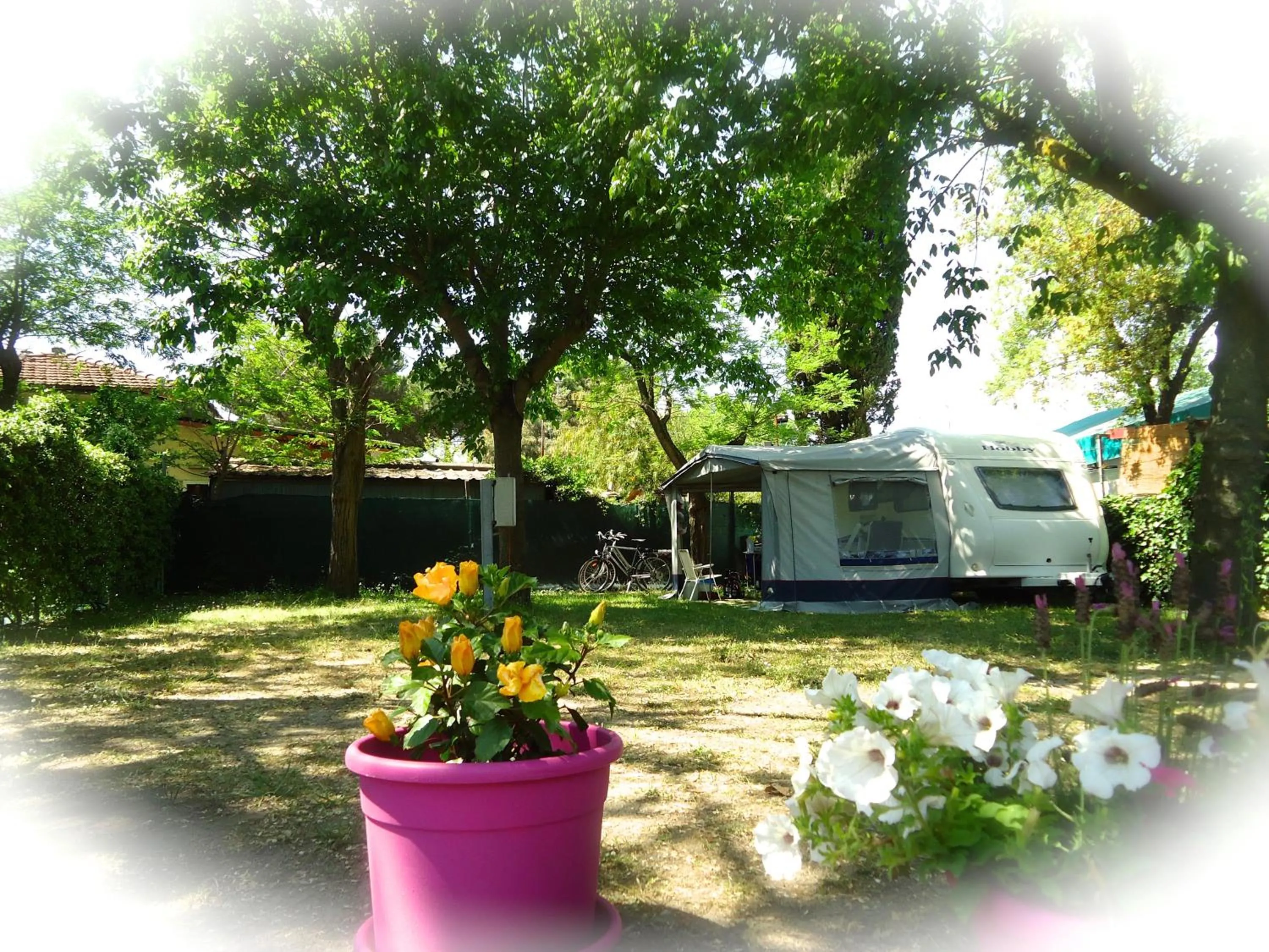 Camping Linus
