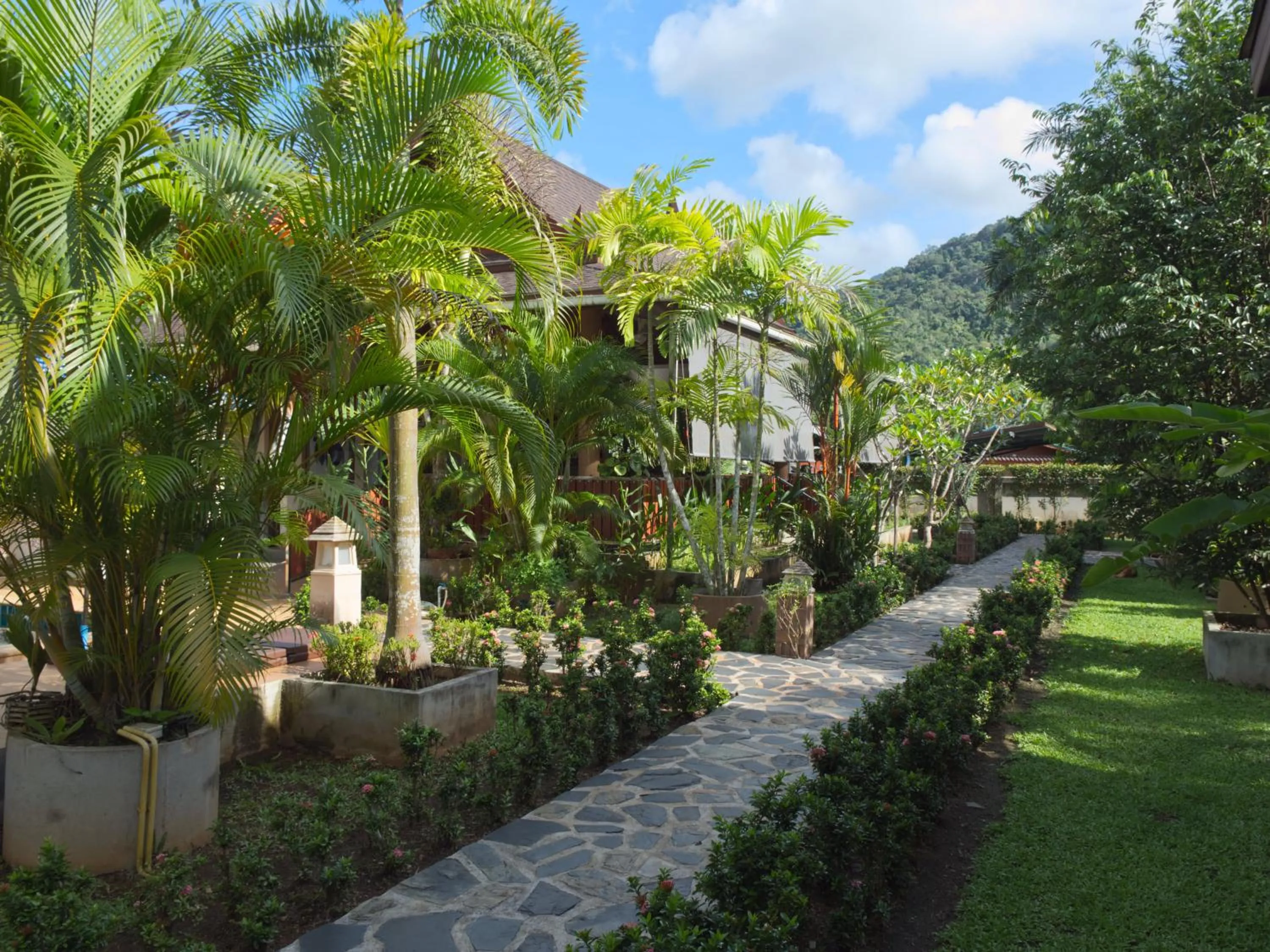 Garden in Chanapha Residence