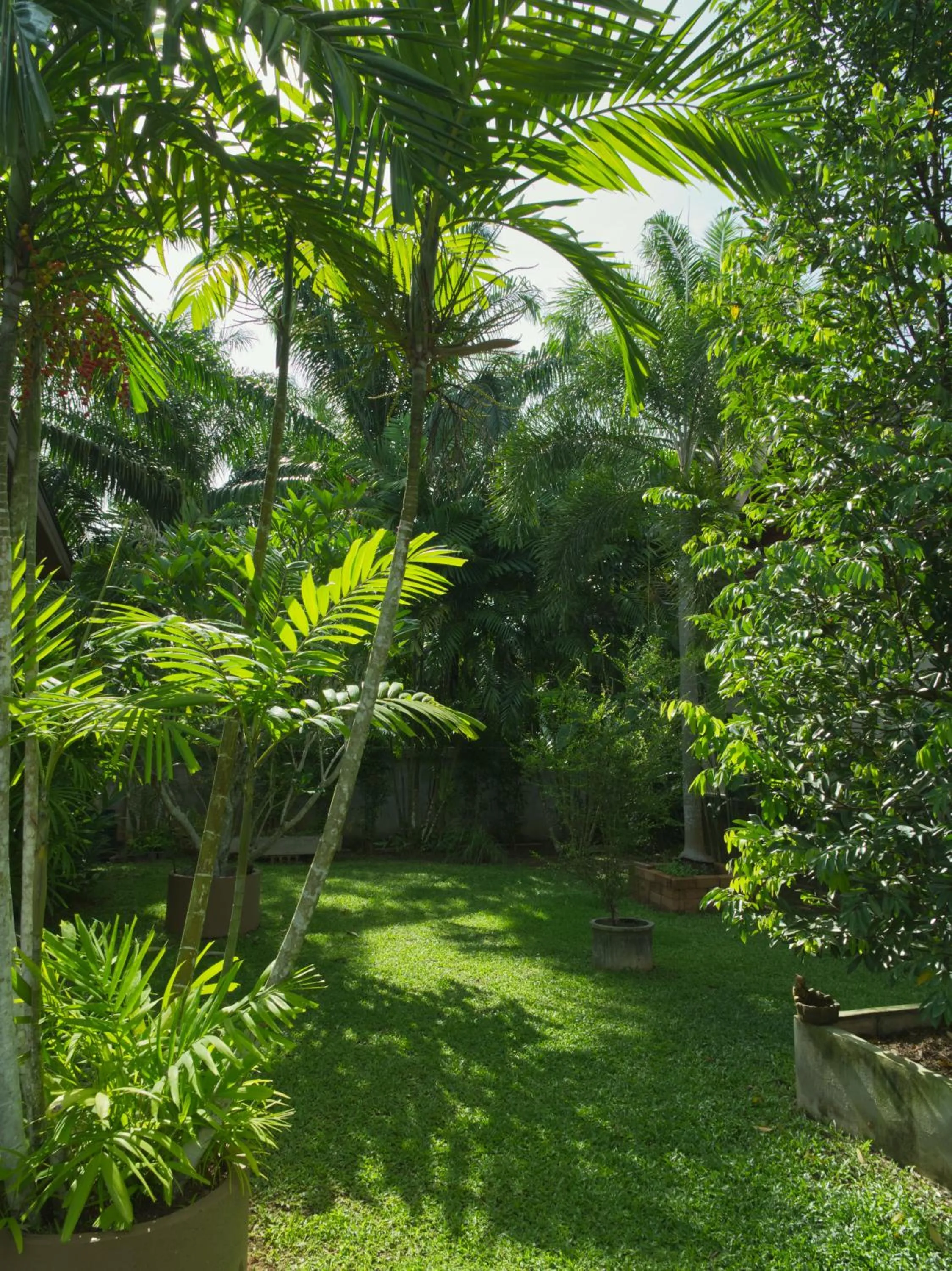 Garden in Chanapha Residence