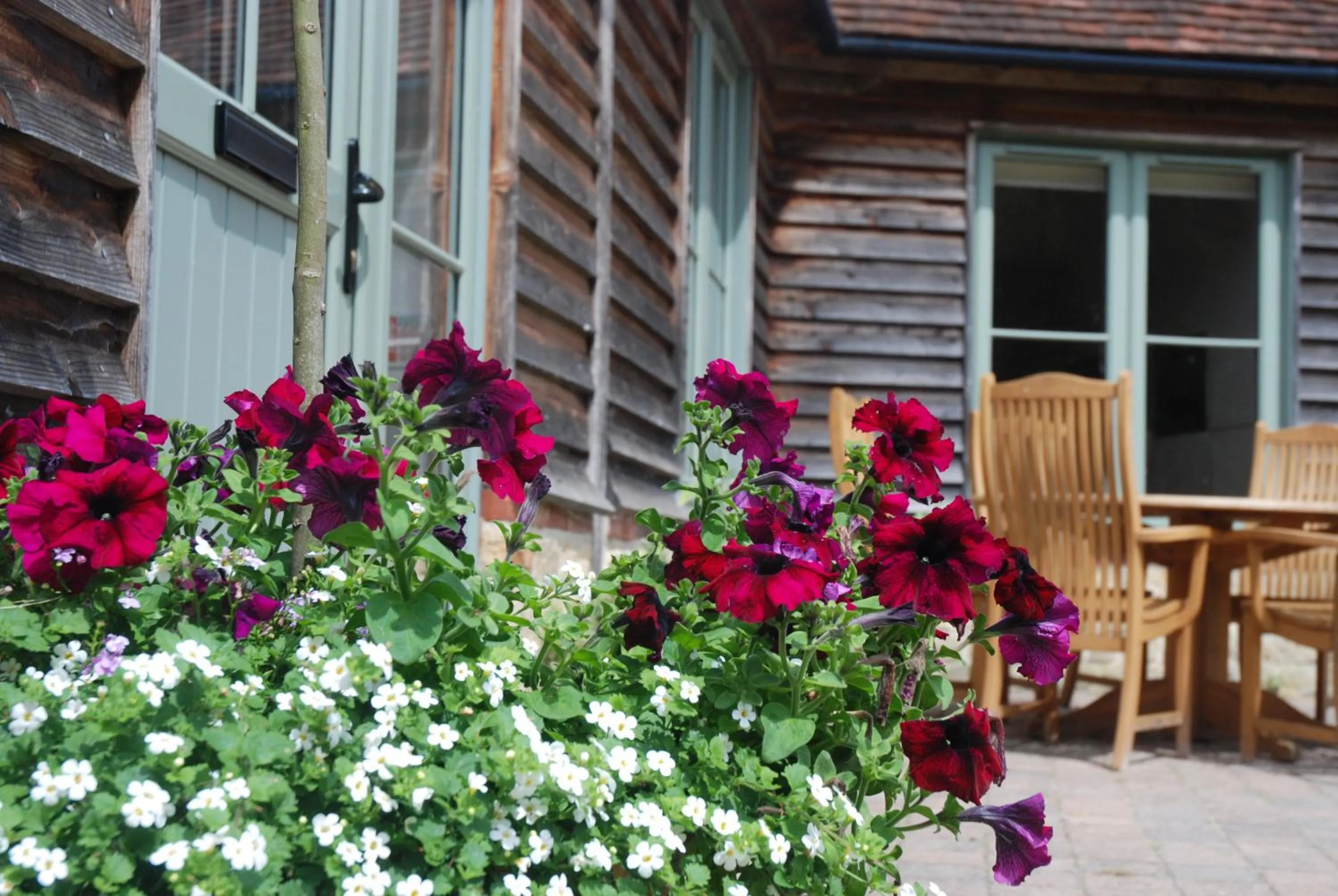 Cowdray Holiday Cottages