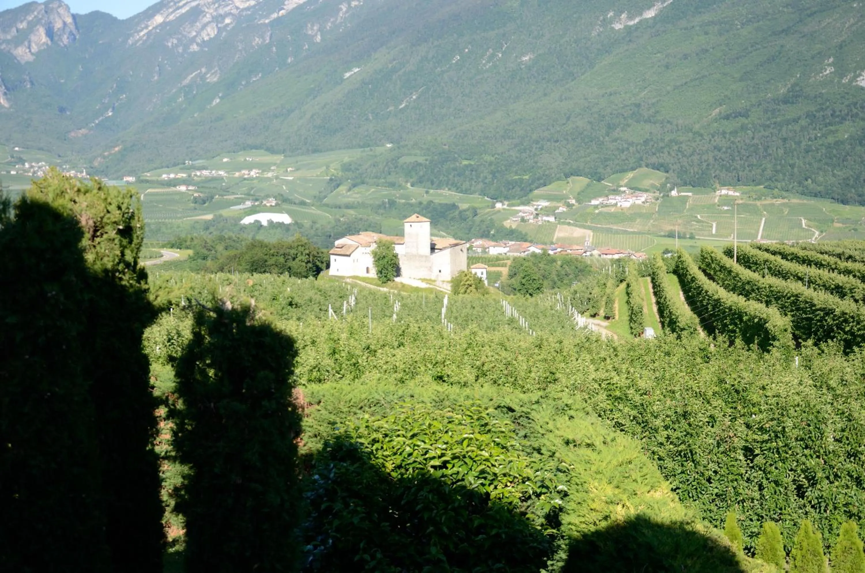 Natural landscape in Al Trifoglio