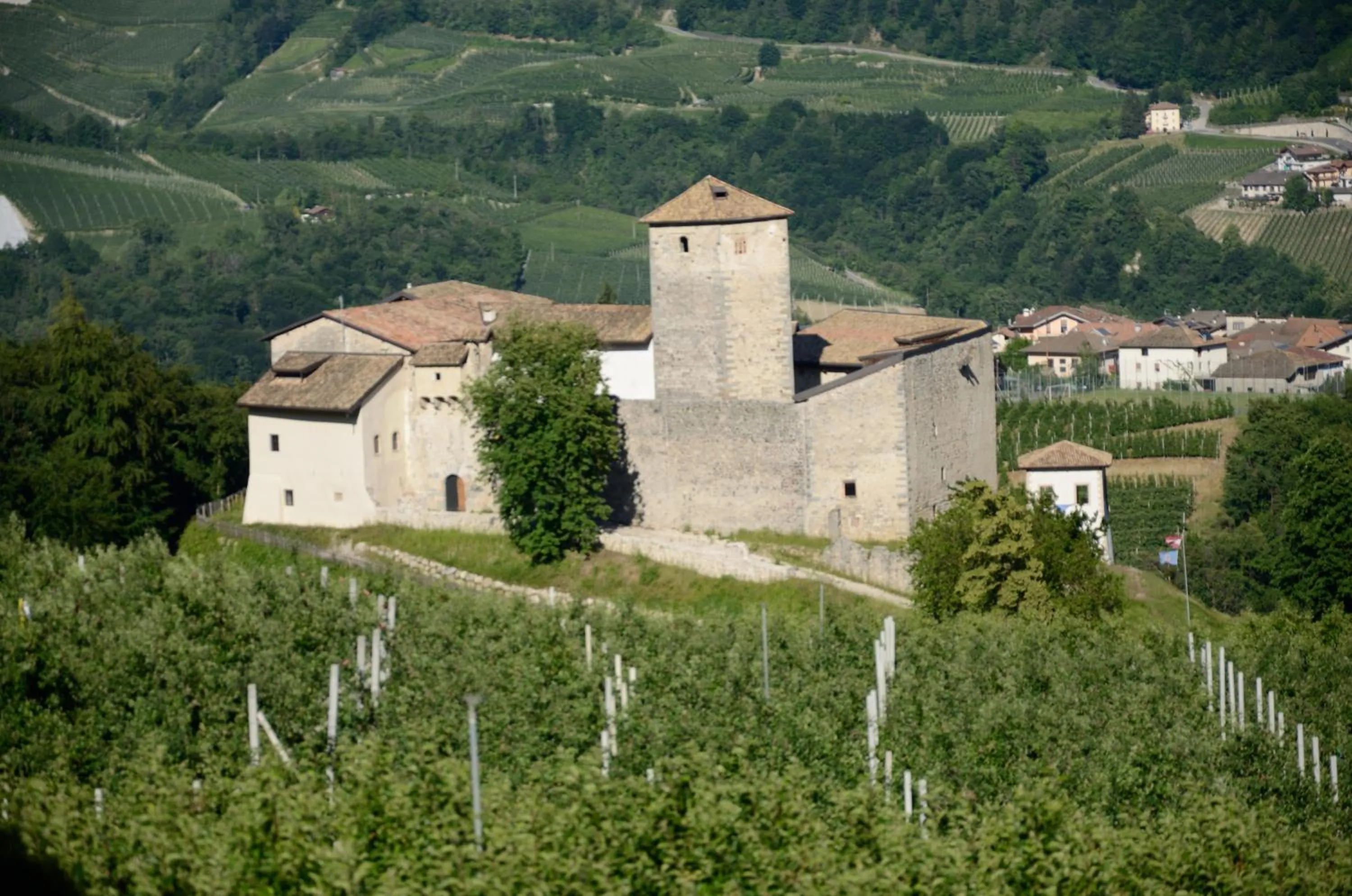 Nearby landmark in Al Trifoglio