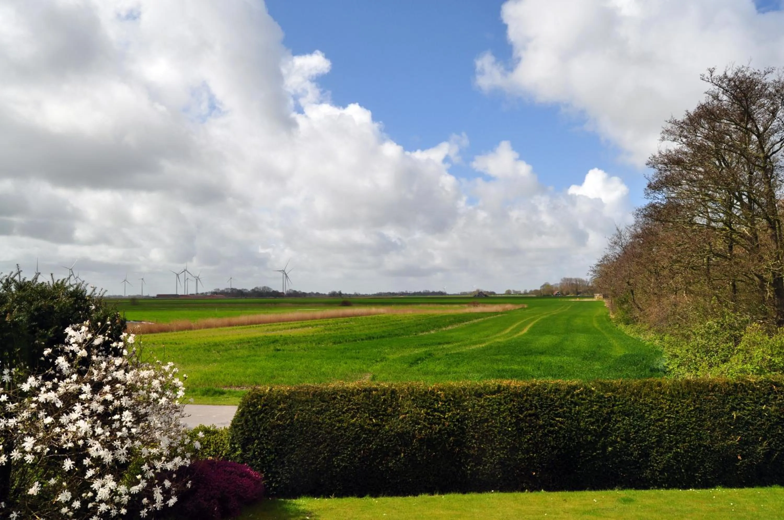 View (from property/room) in Dieken's Huus