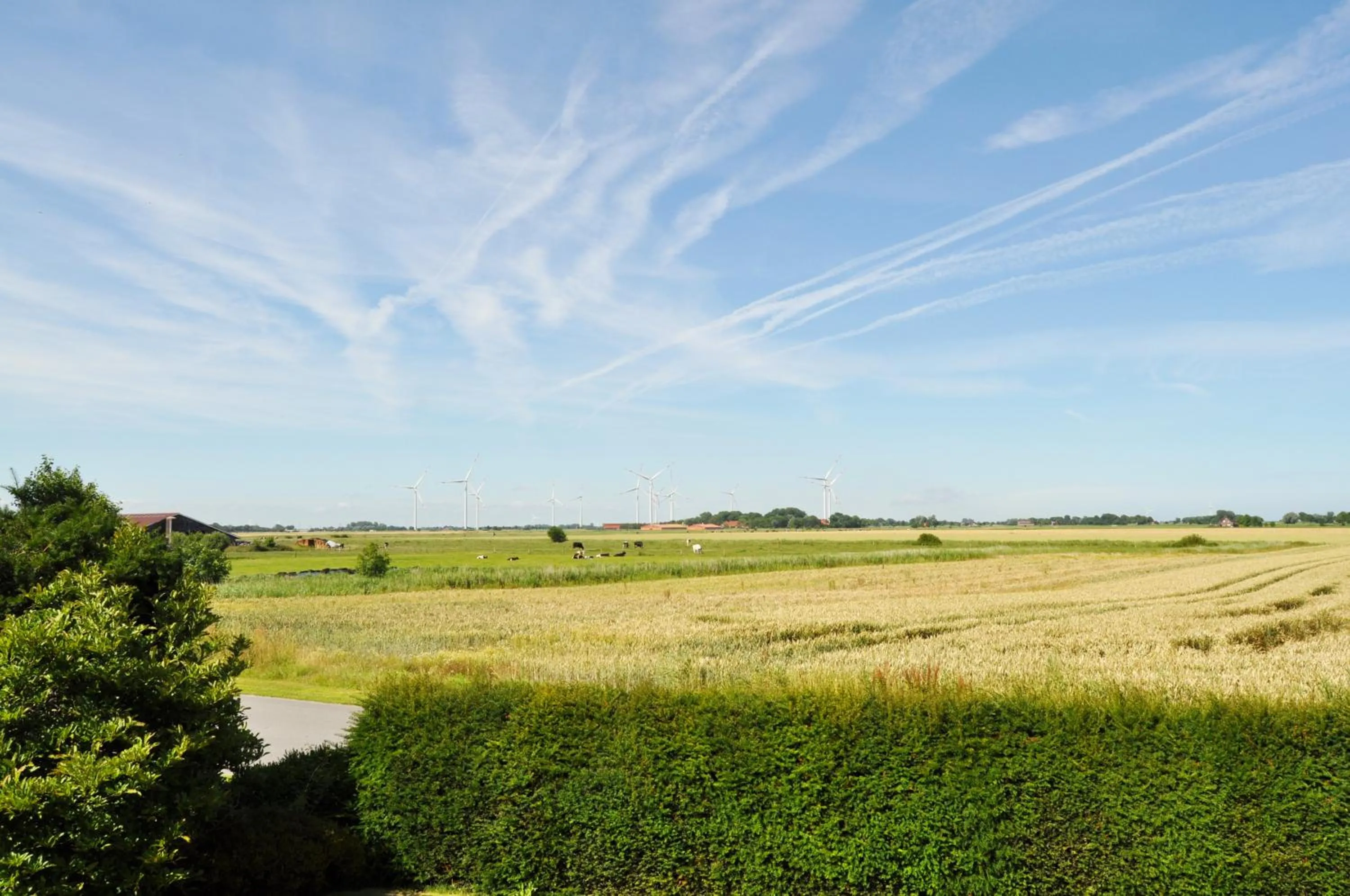 Garden view in Dieken's Huus