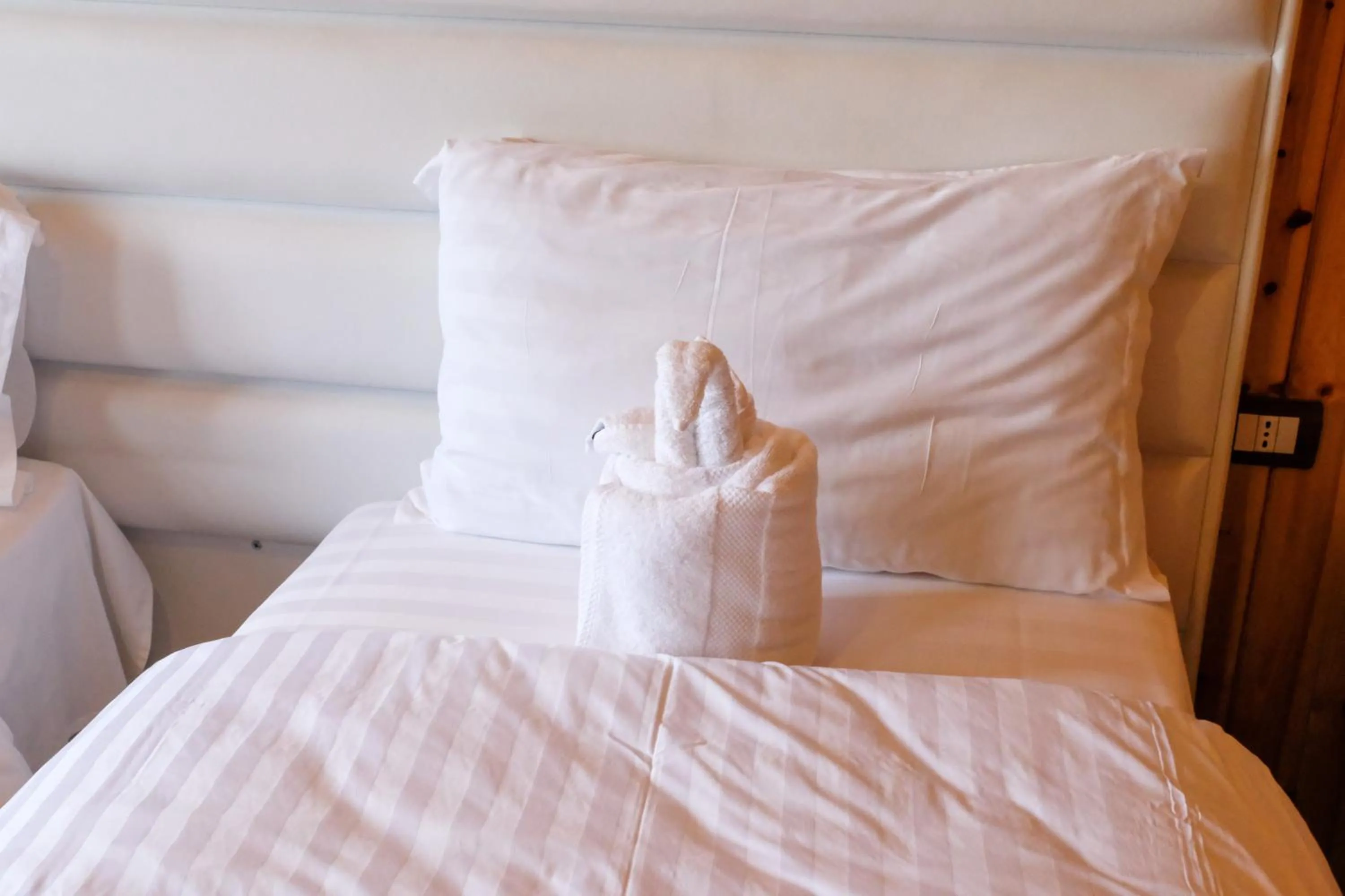 Photo of the whole room, Bed in Buna Park Hotel