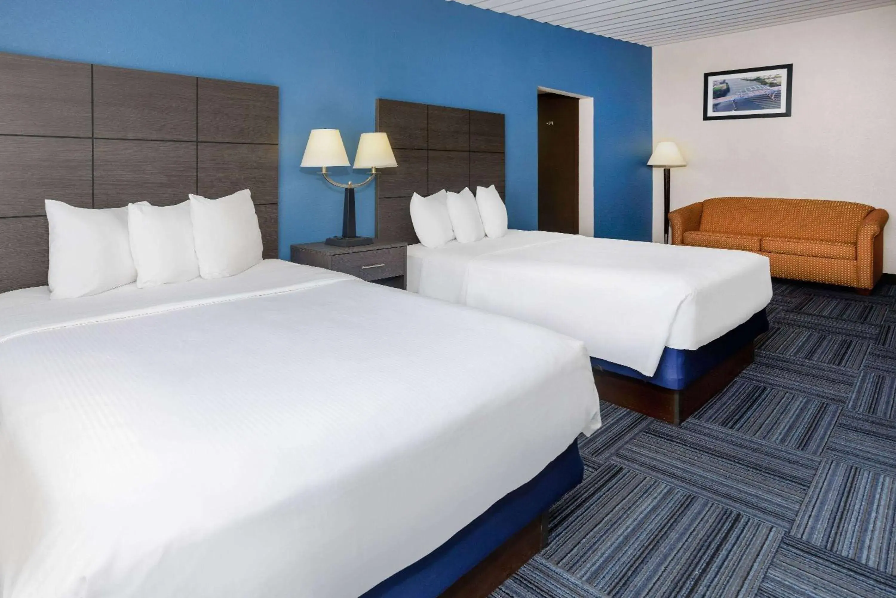 Photo of the whole room, Bed in Baymont by Wyndham Appleton Photo of the whole room, Bed in Baymont by Wyndham Appleton