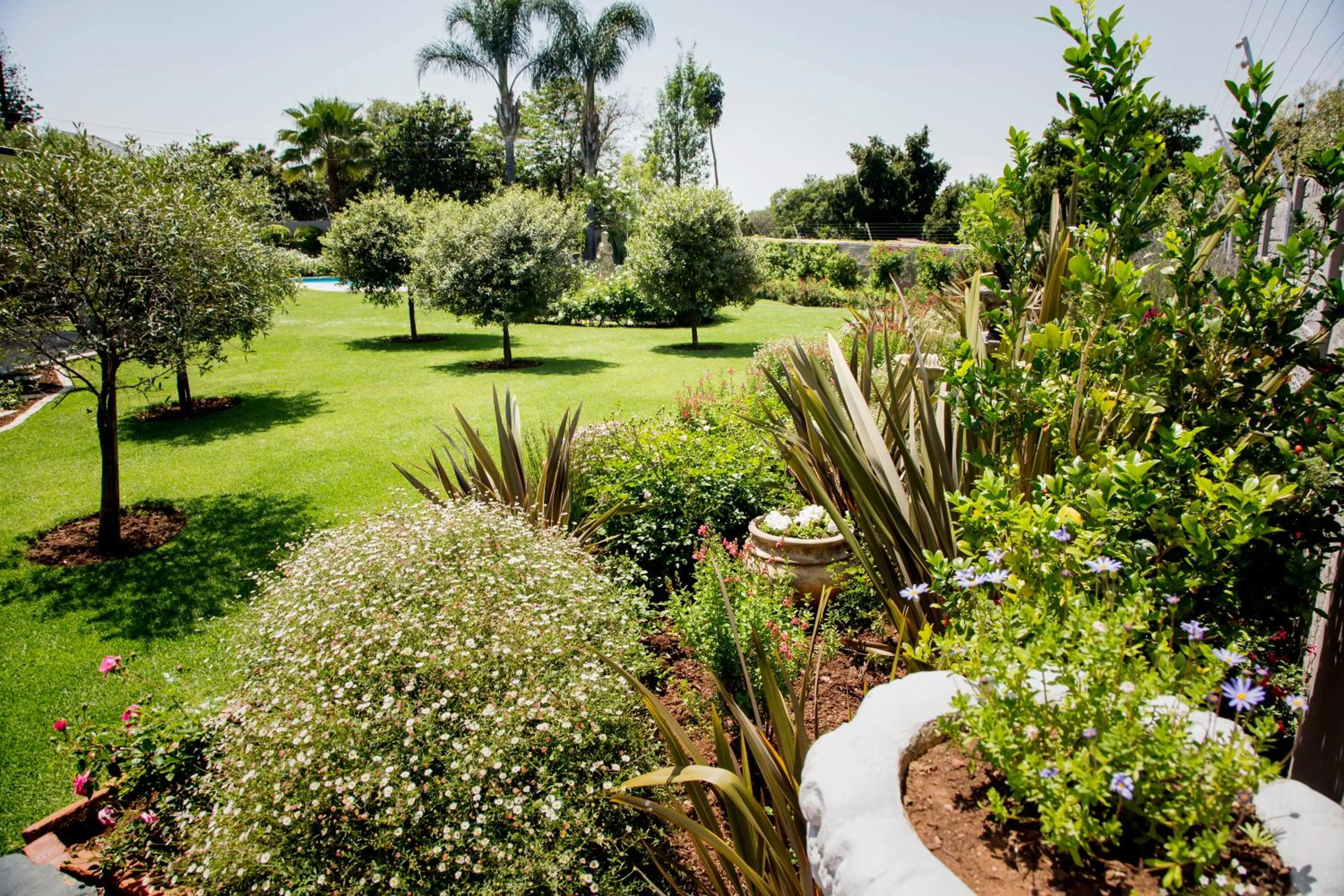 Garden in La Vida Luka - Luxury Guesthouse