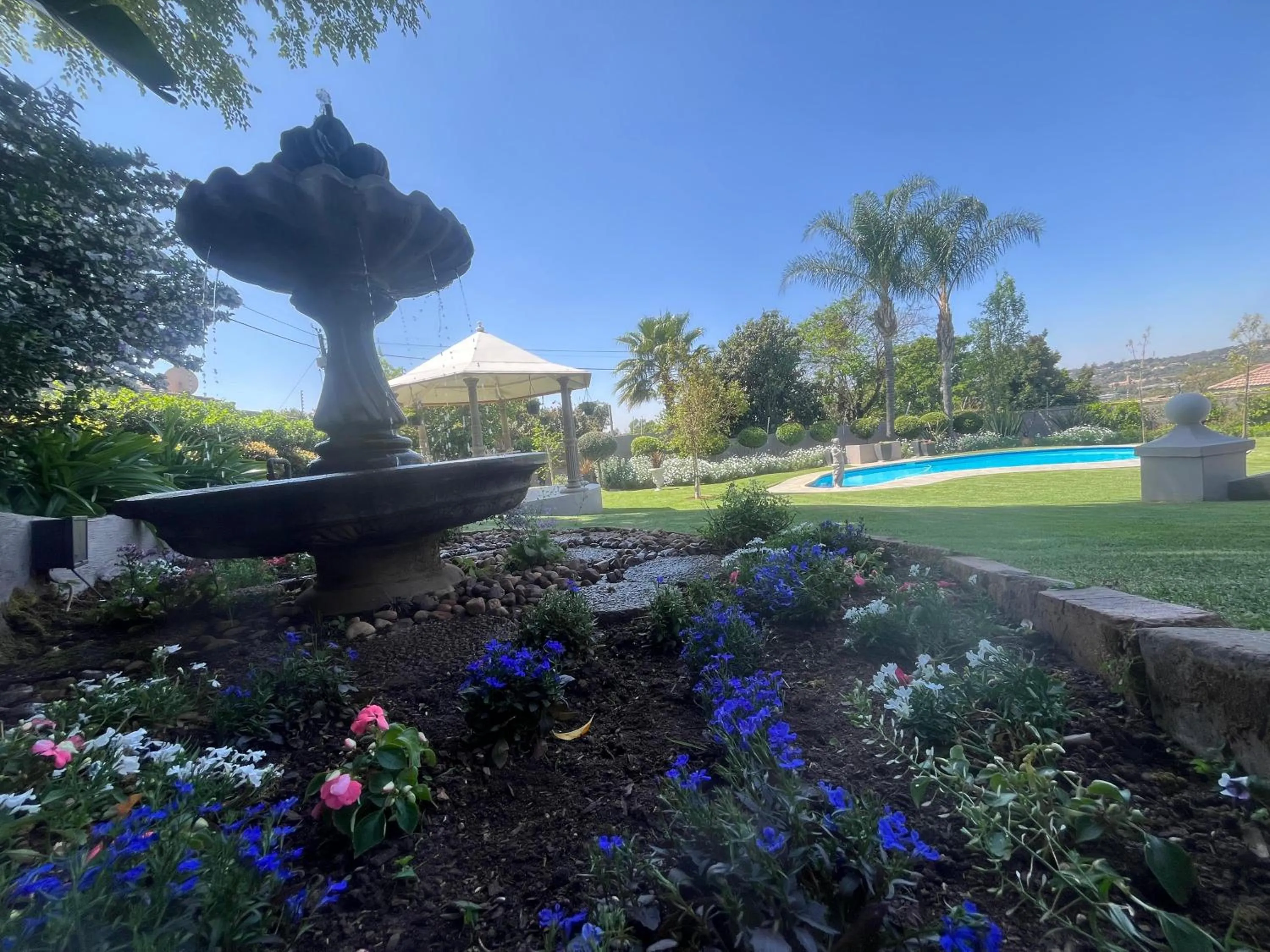 Garden in La Vida Luka - Luxury Guesthouse