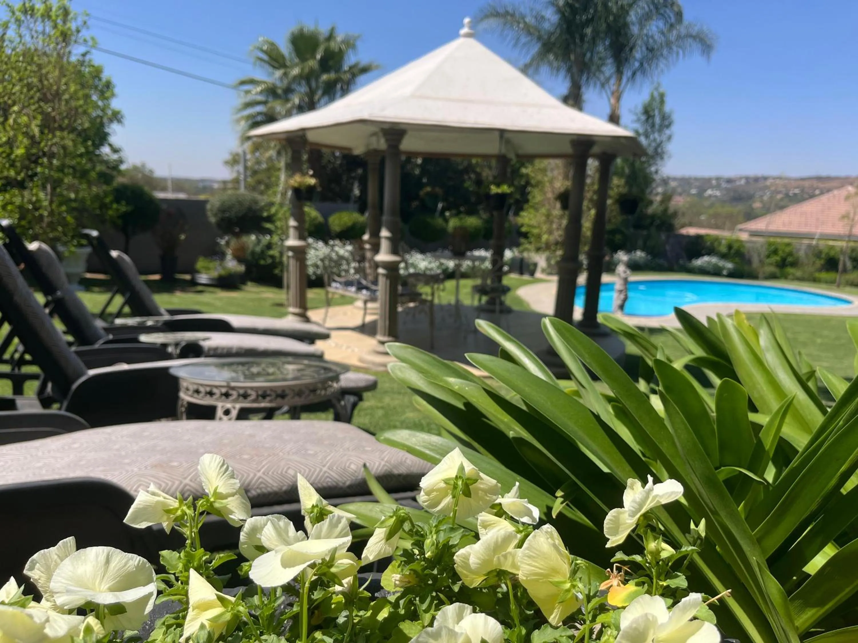 Garden in La Vida Luka - Luxury Guesthouse