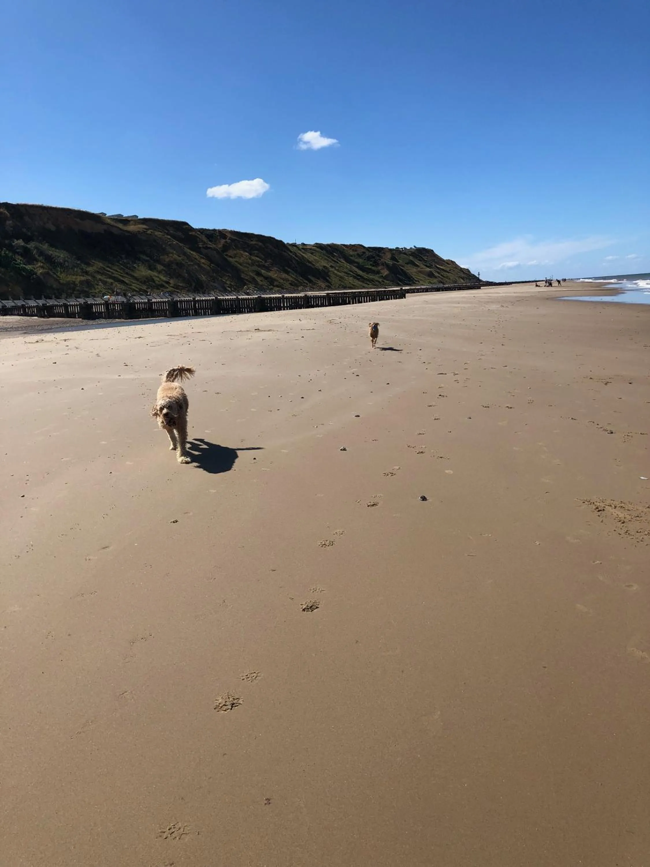 Beach in The Lookout
