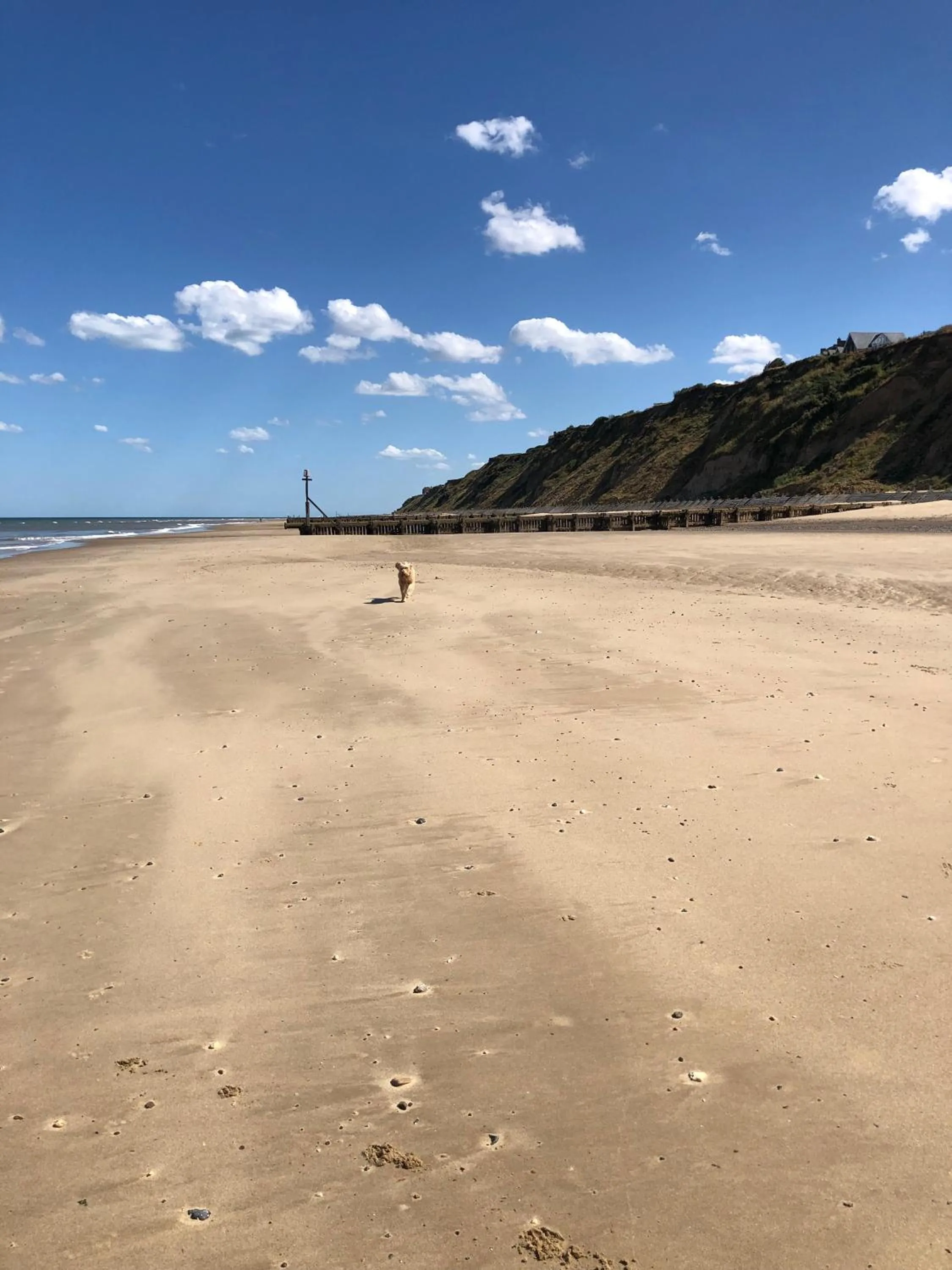 Beach in The Lookout