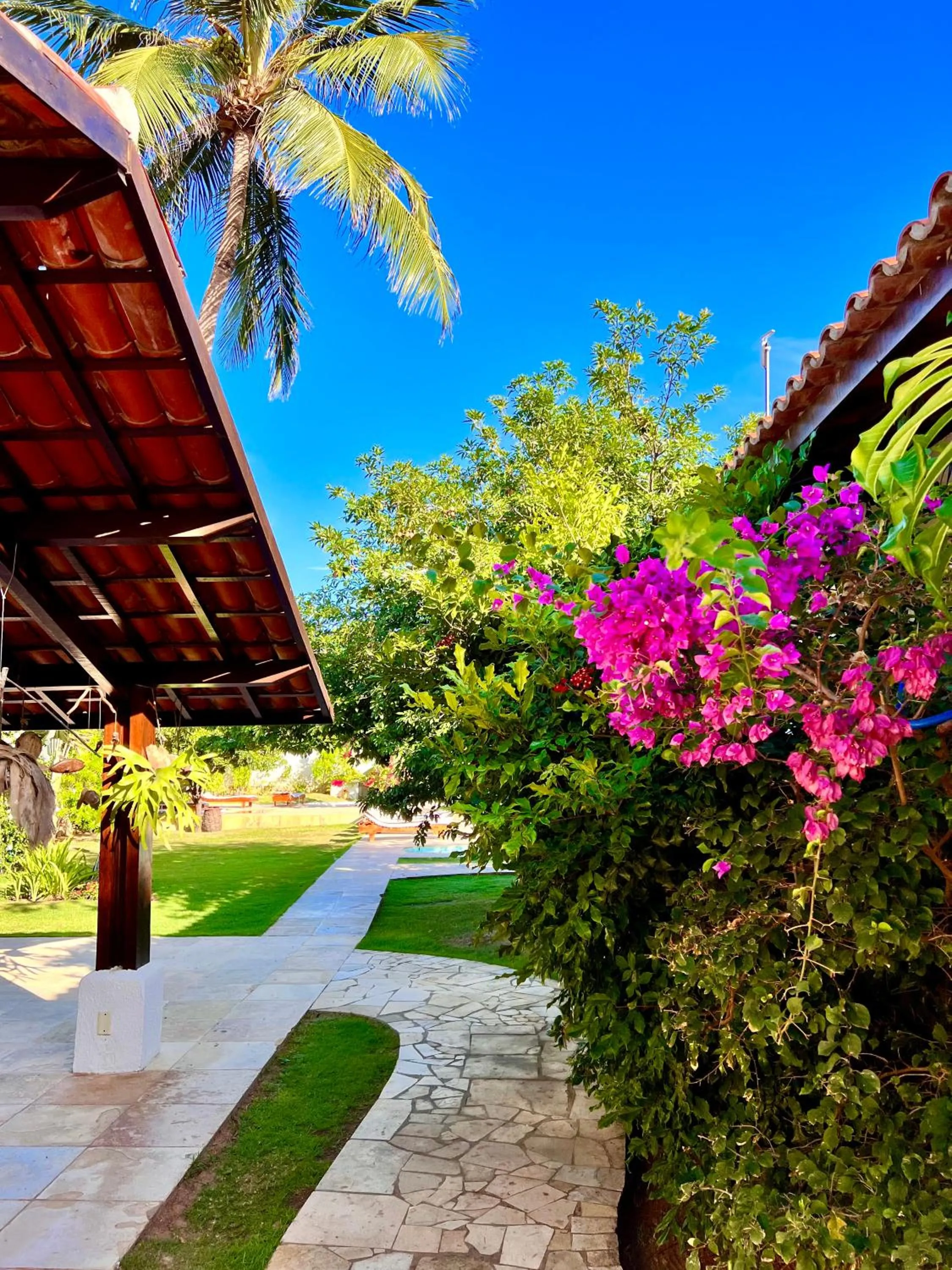 Garden in Tucano Pousada