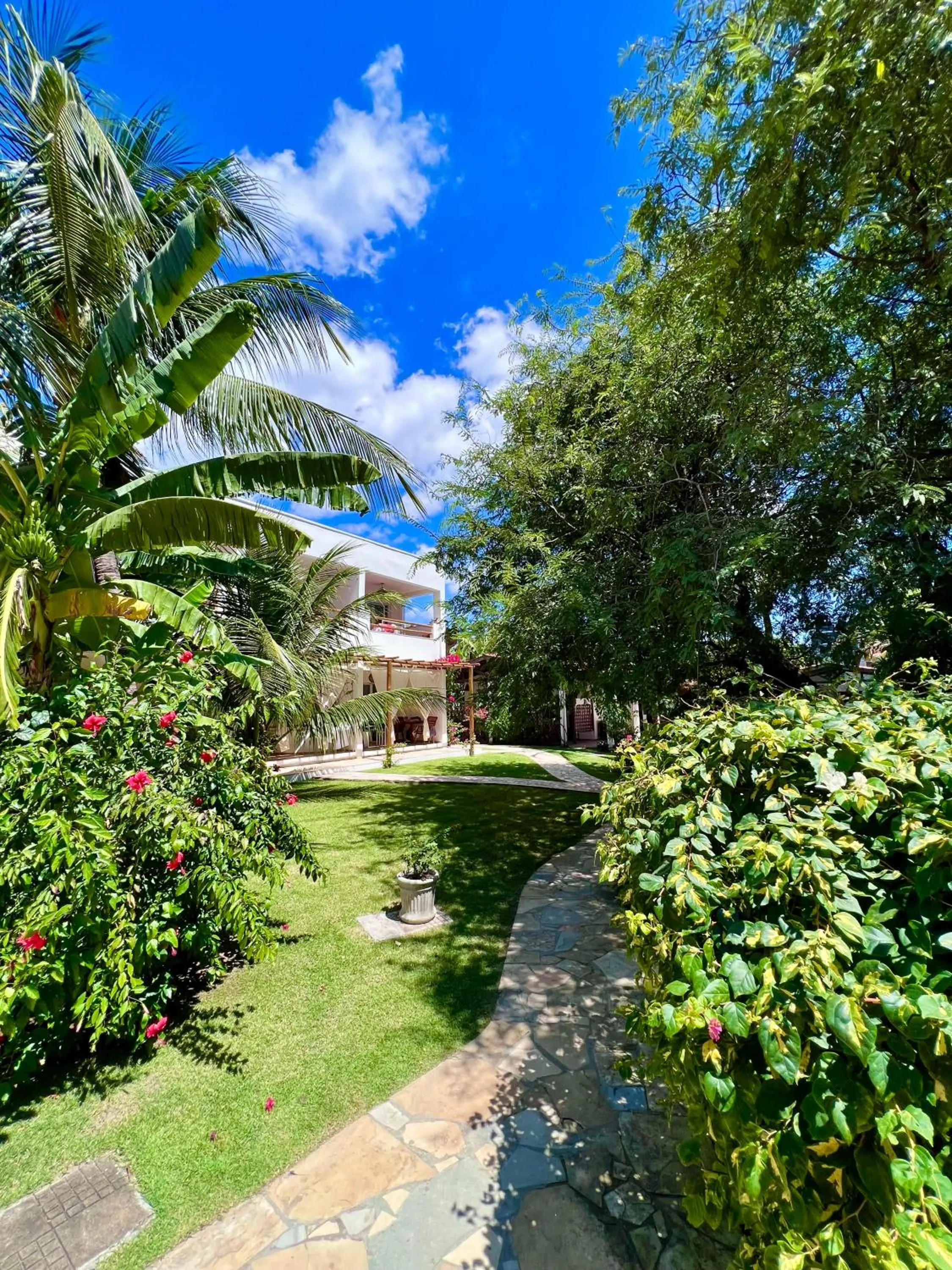 Garden in Tucano Pousada