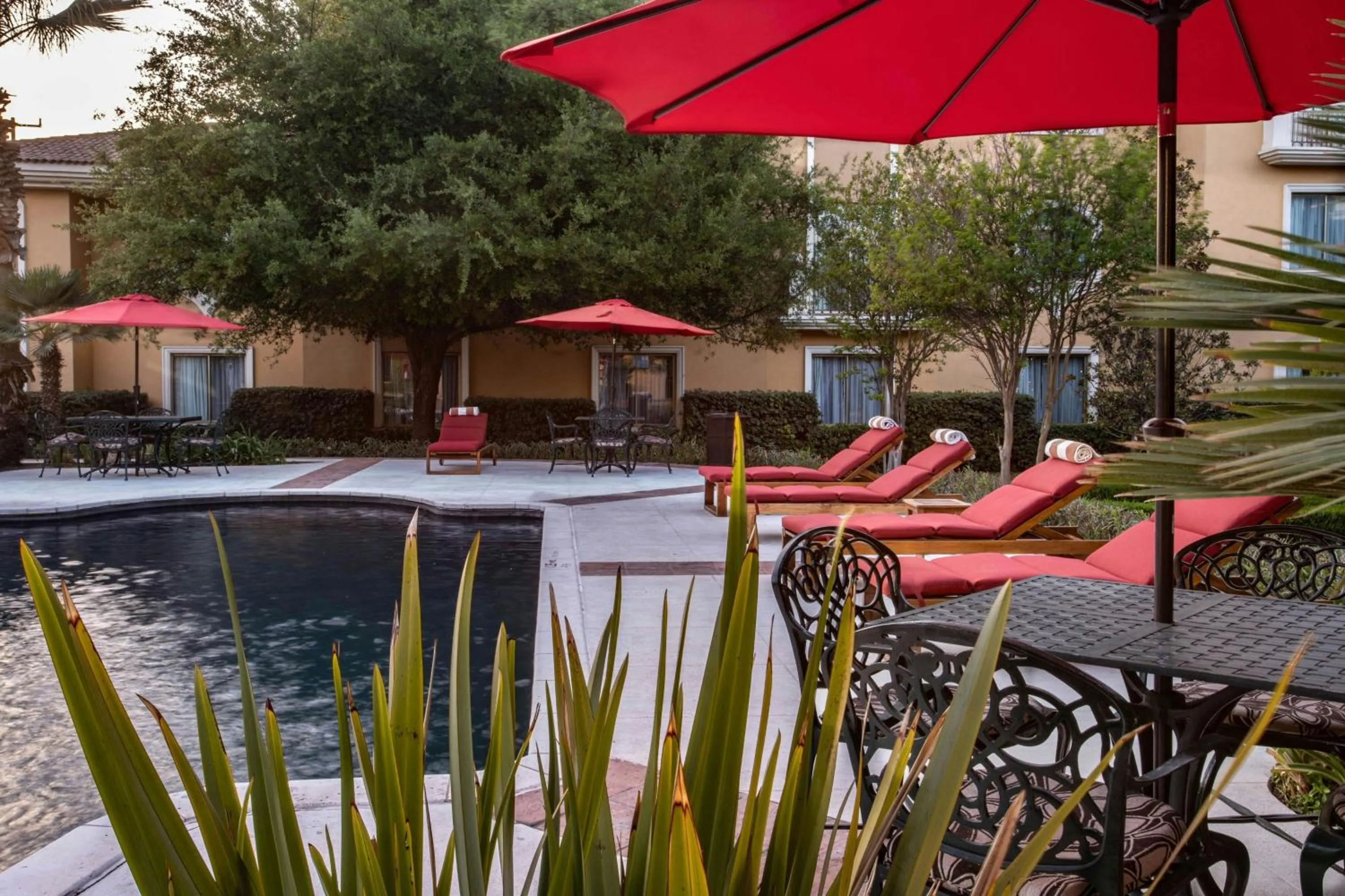Swimming pool in Casa Mayor Saltillo, Hotel Hacienda