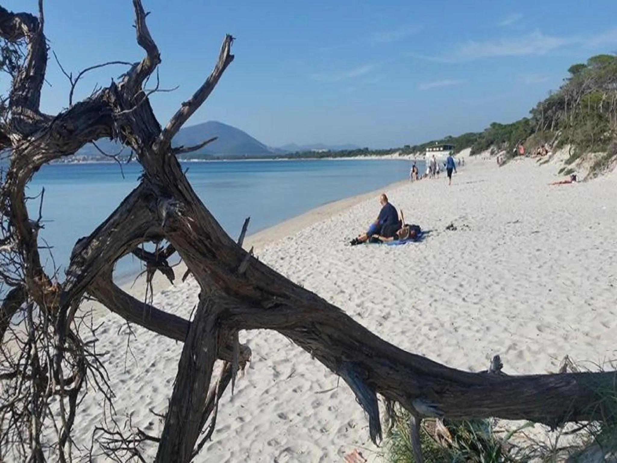 Beach in Alma di Alghero Apartments