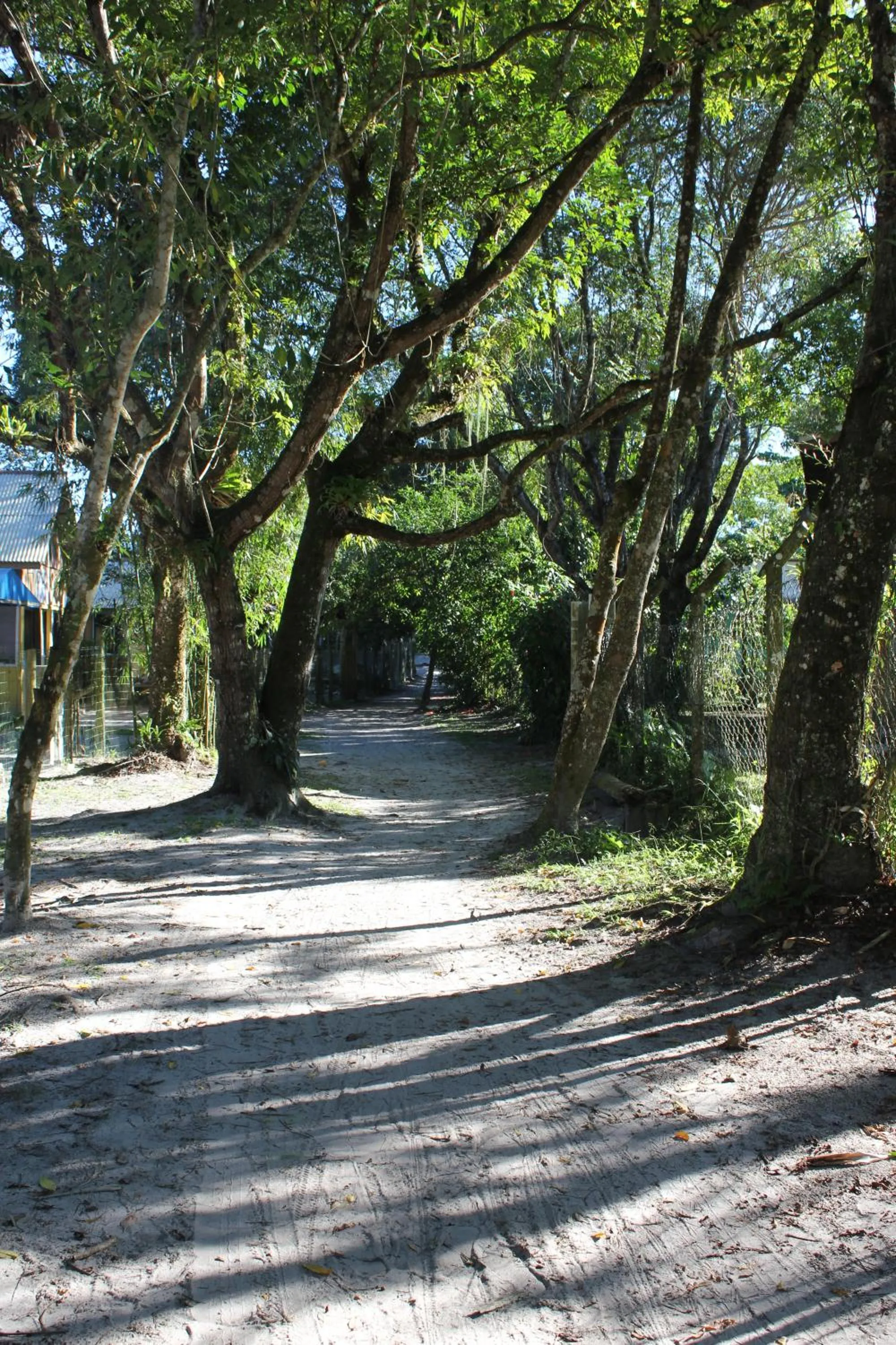 Property building in Casinha na Ilha do Mel - Pr