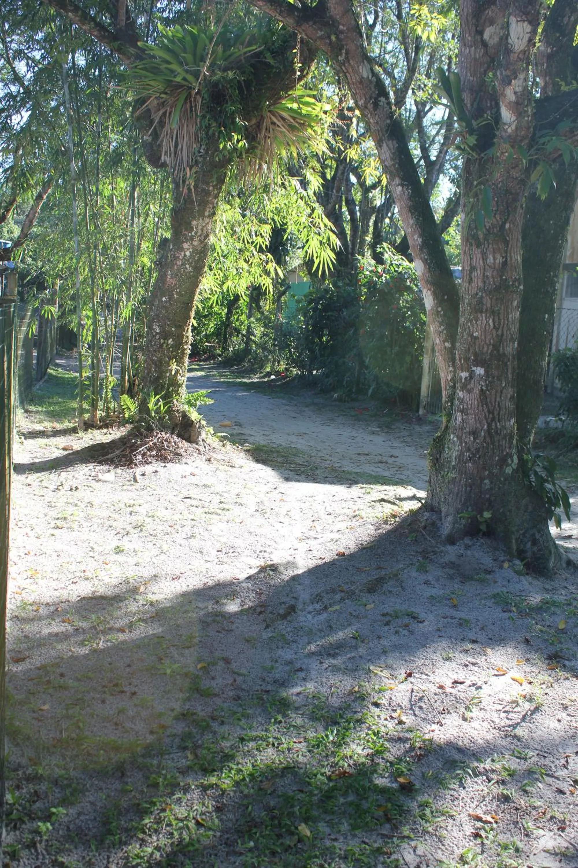 Property building in Casinha na Ilha do Mel - Pr