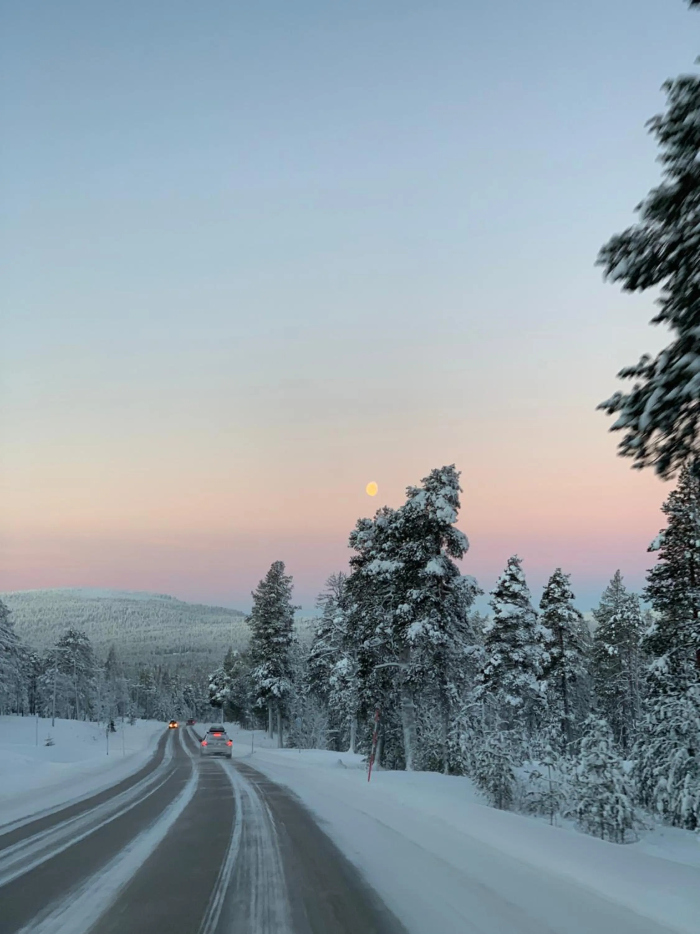 Natural landscape in Starflower of Ylläs