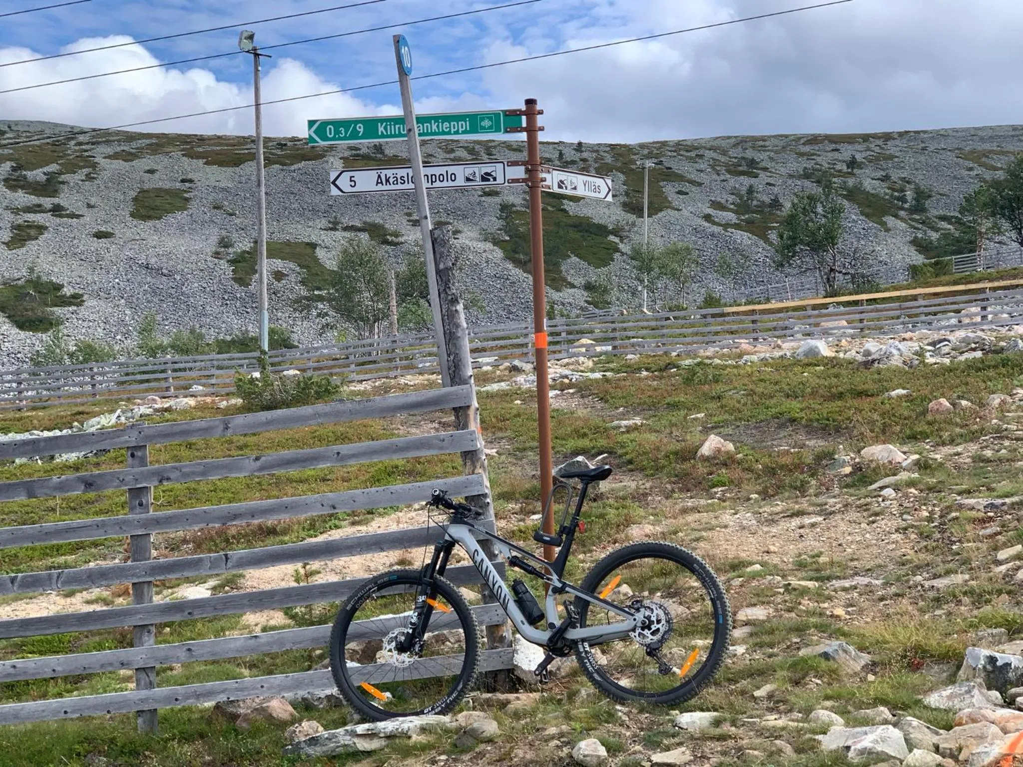 Cycling in Starflower of Ylläs