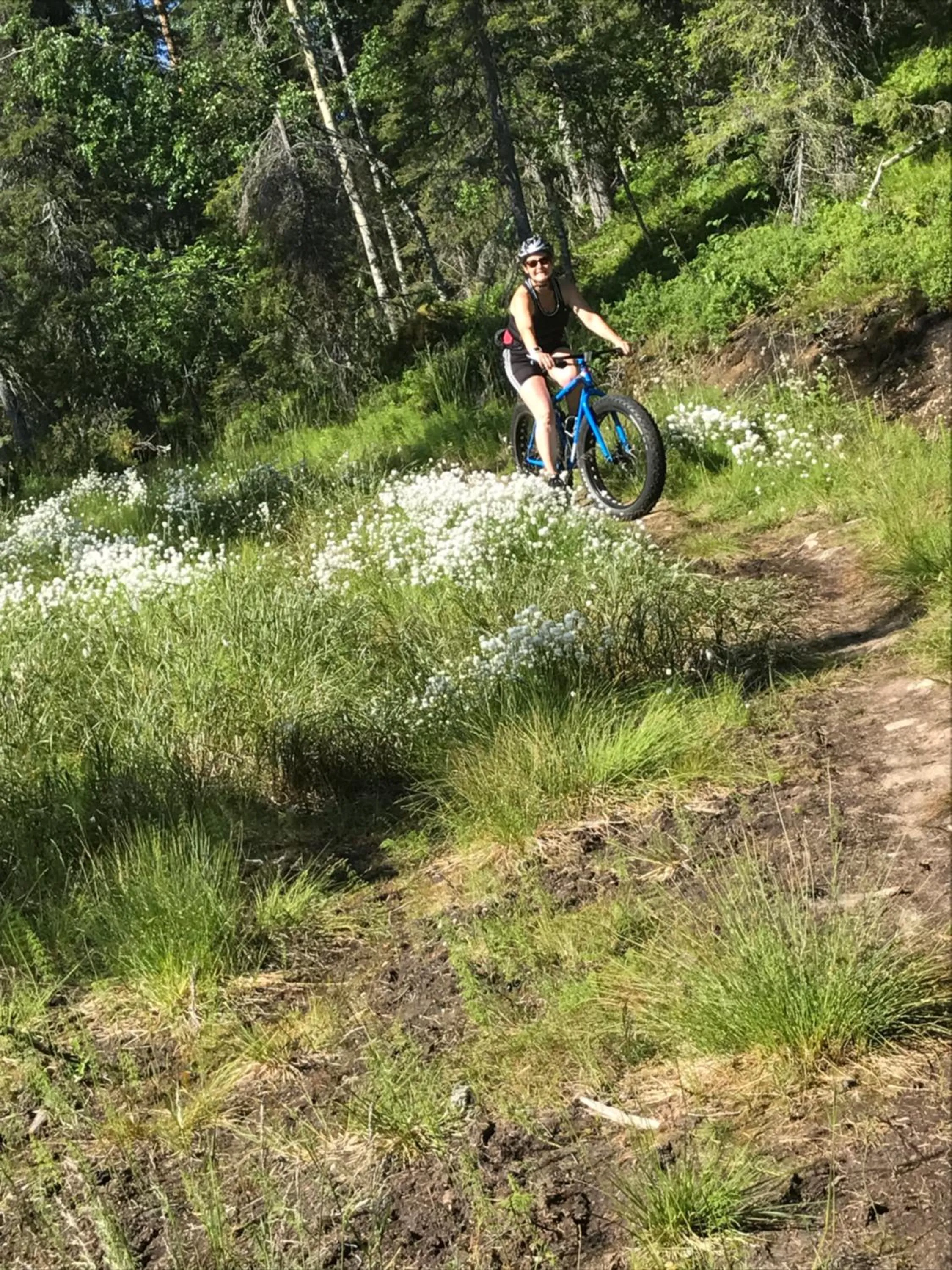 Cycling in Starflower of Ylläs
