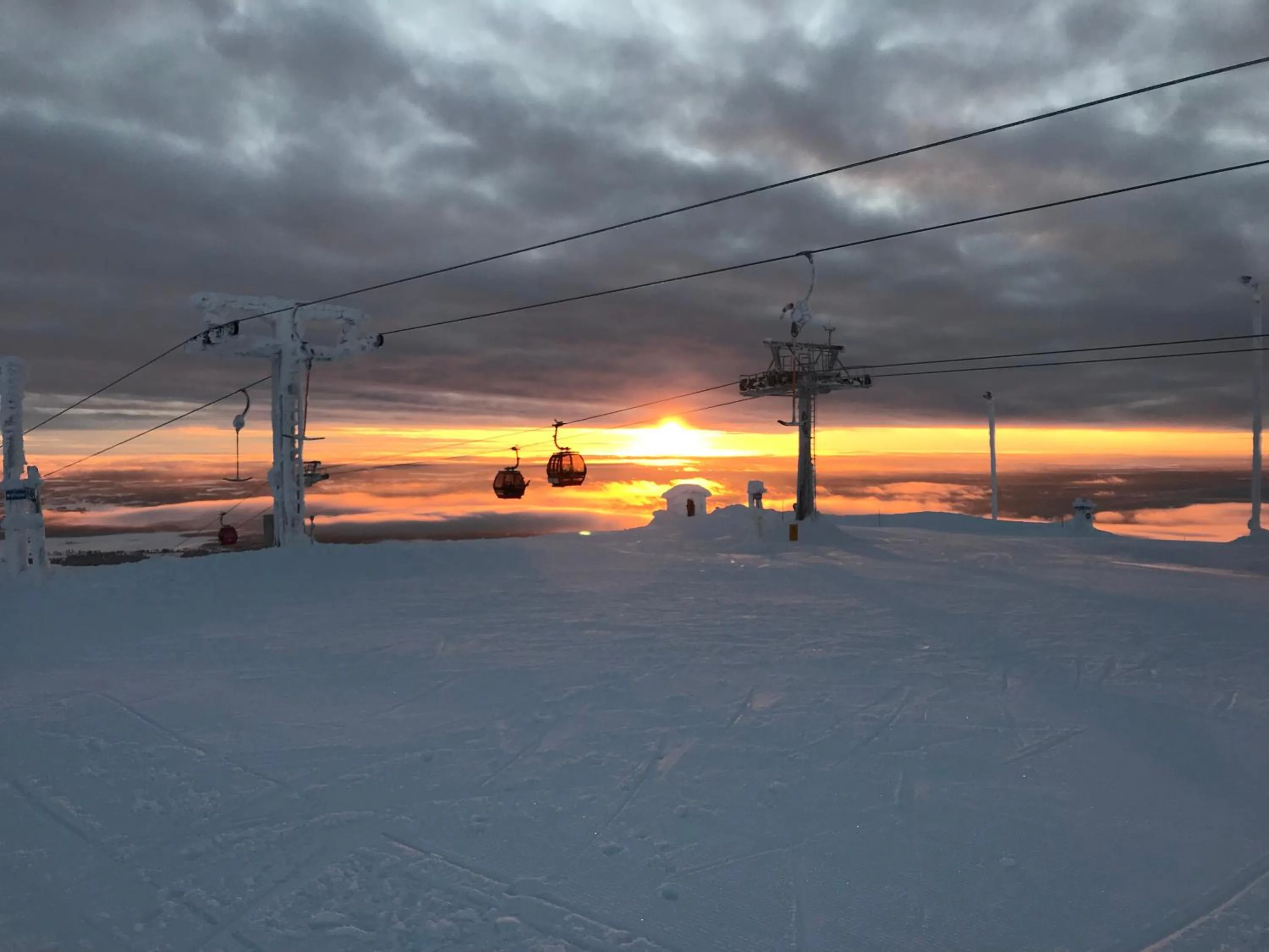 Skiing in Starflower of Ylläs