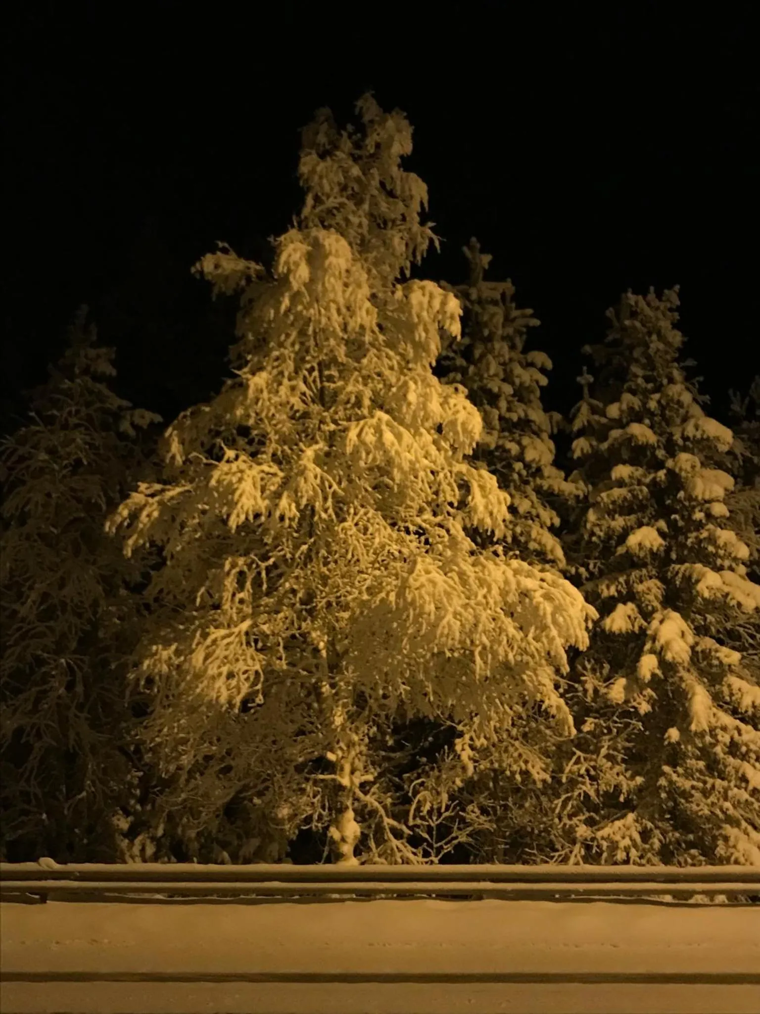 Winter in Starflower of Ylläs