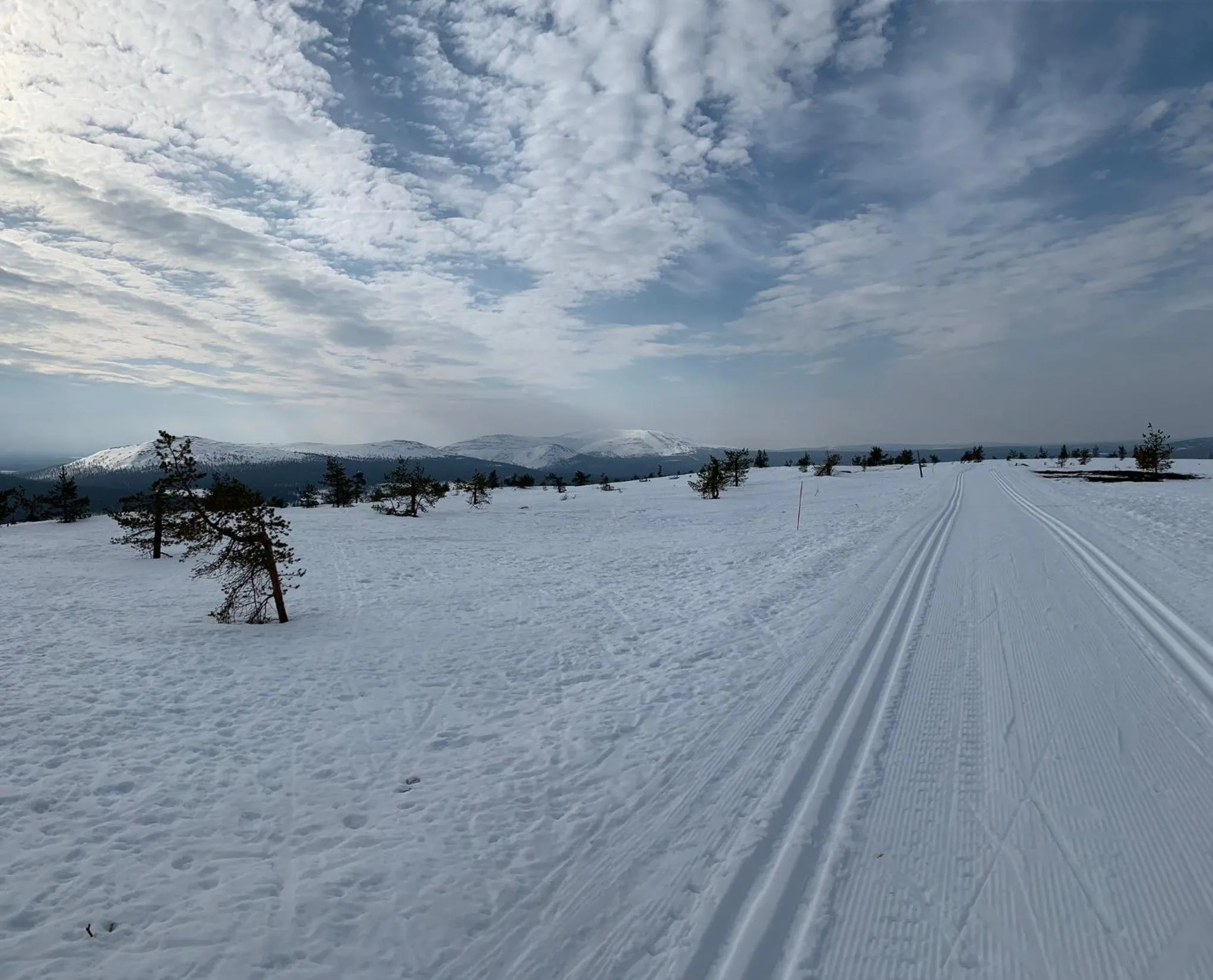 Natural landscape in Starflower of Ylläs