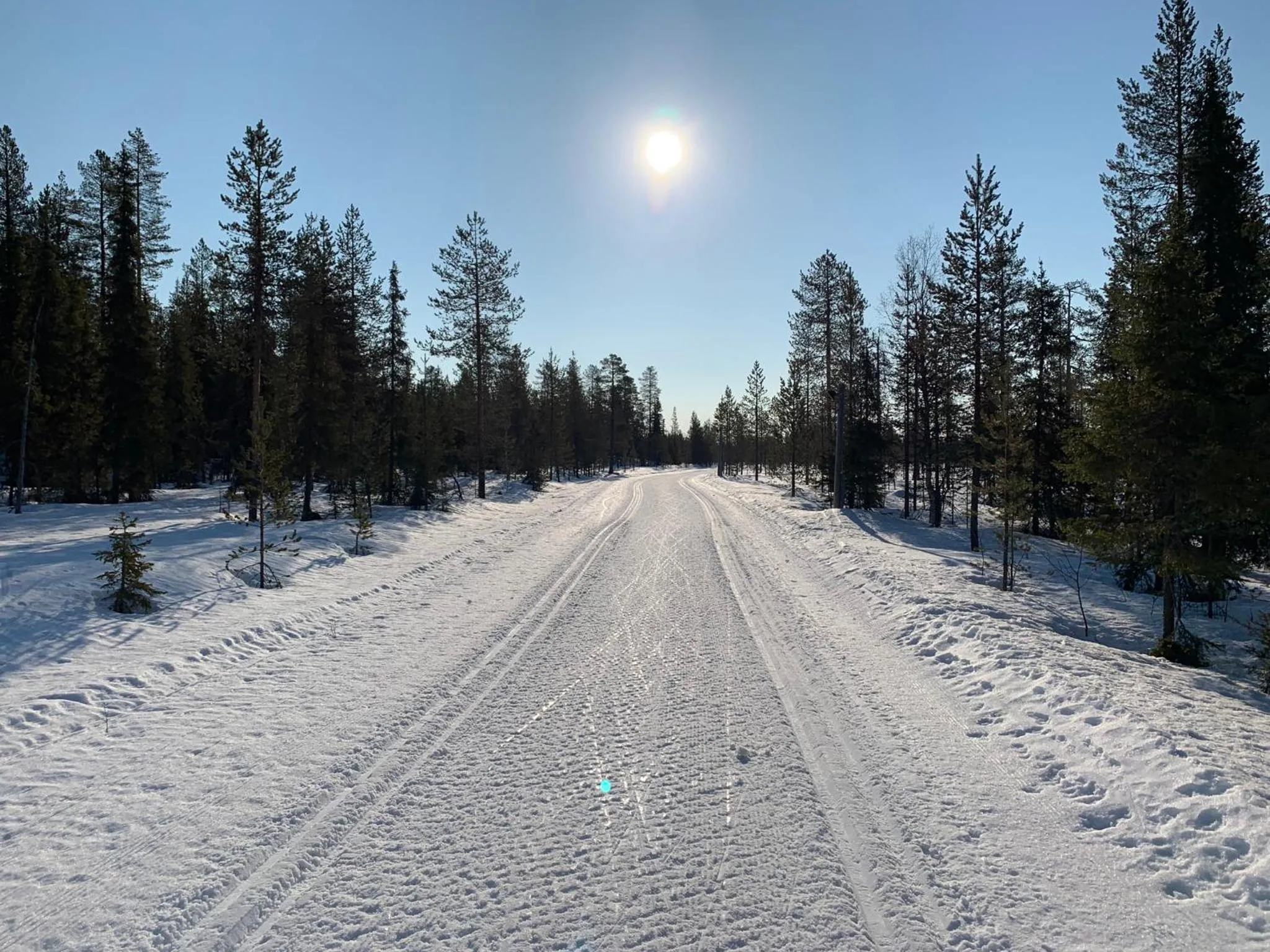 Natural landscape in Starflower of Ylläs