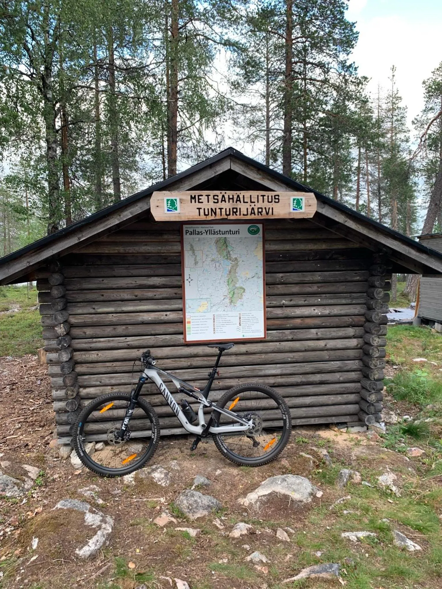 Cycling in Starflower of Ylläs