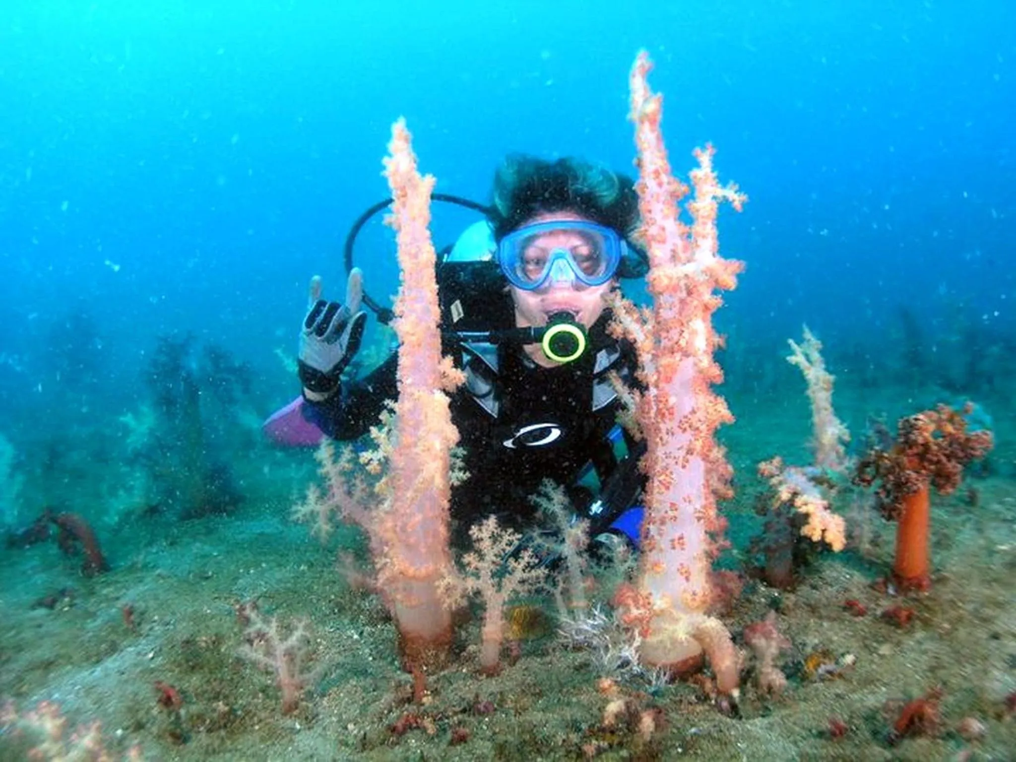 Snorkeling in Bentrina Diving Resort