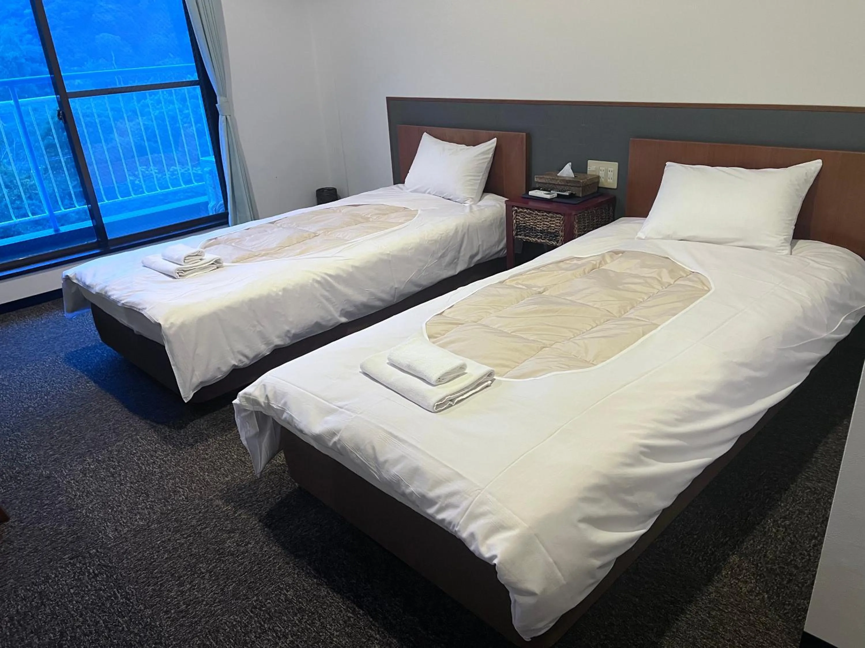 Twin Room with Mountain View in Guest House Bigfisher Club