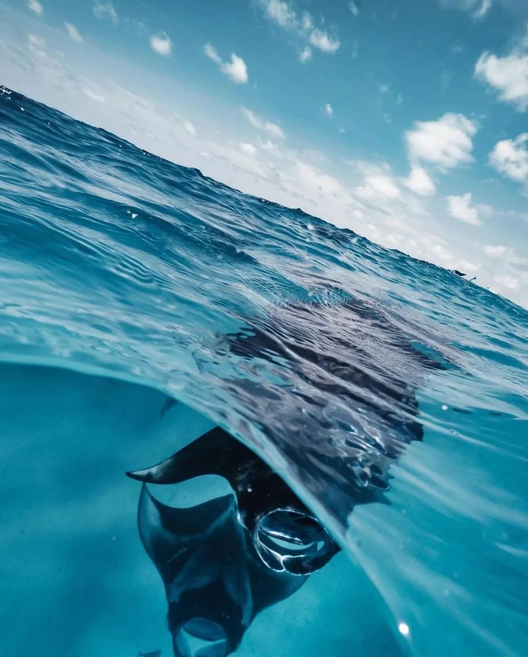 Activities in Kiha Beach